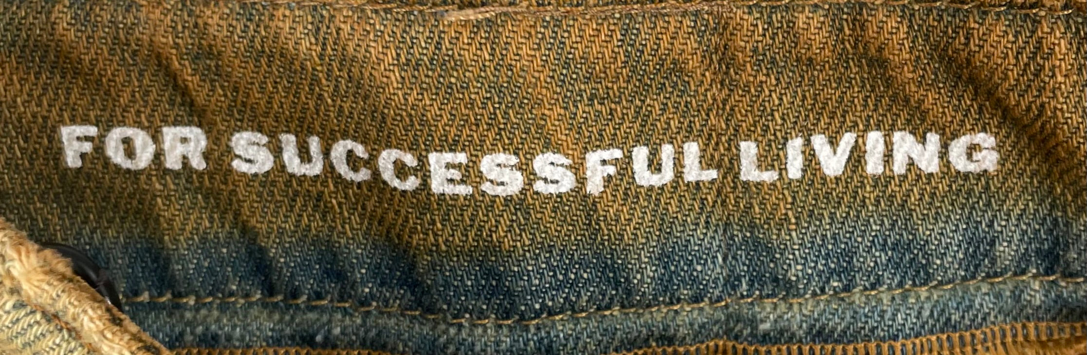 DIESEL/Straight Pants/30/Denim/CML/1988 DMACS view 8