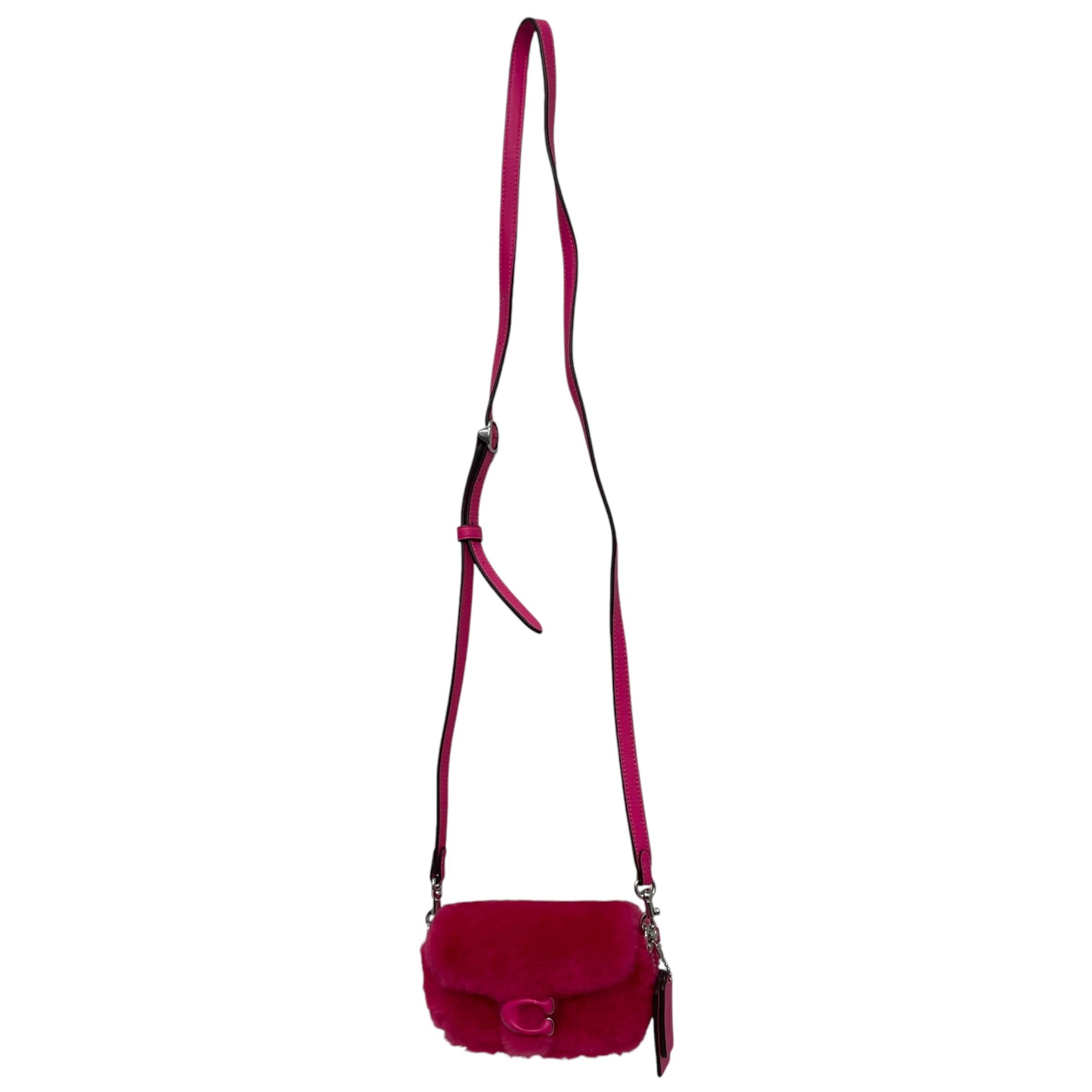 COACH/Cross Body Bag/PNK/Lil Nas X Tabby 12 view 1