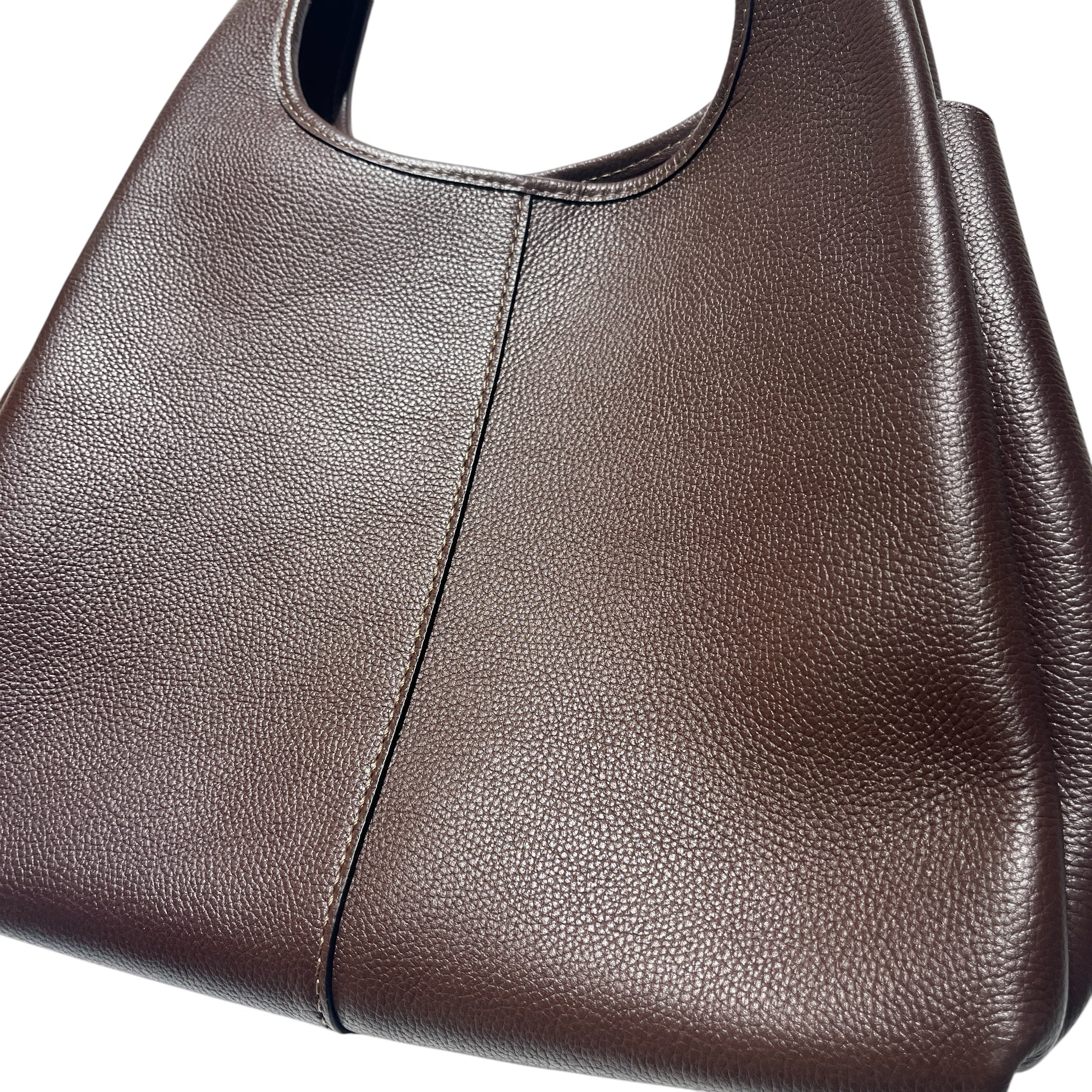 COACH/Bag/Leather/BRW/lana bag view 4