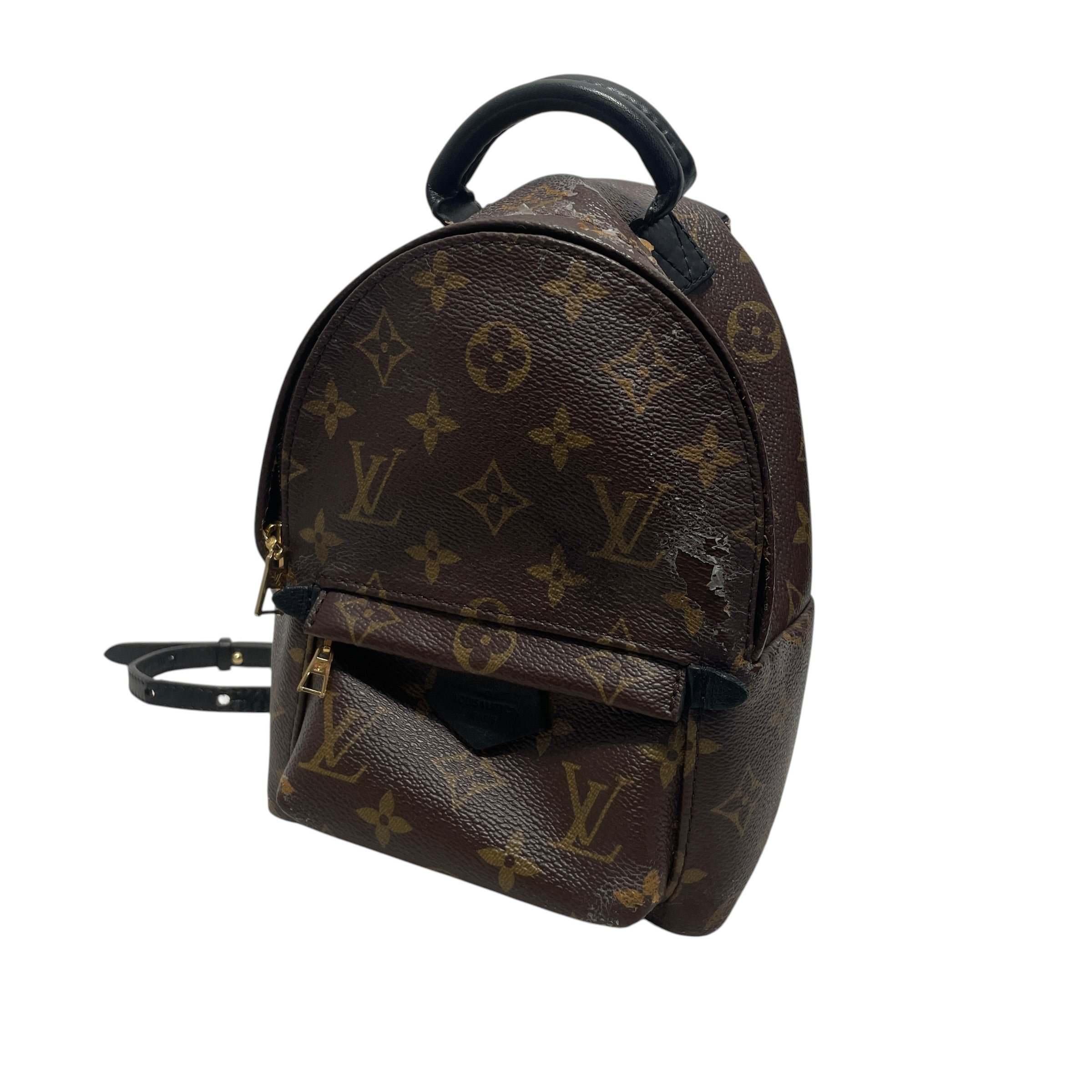 LOUIS VUITTON/Backpack/Monogram/Leather/BRW/PALM SPRINGS MINI view 1