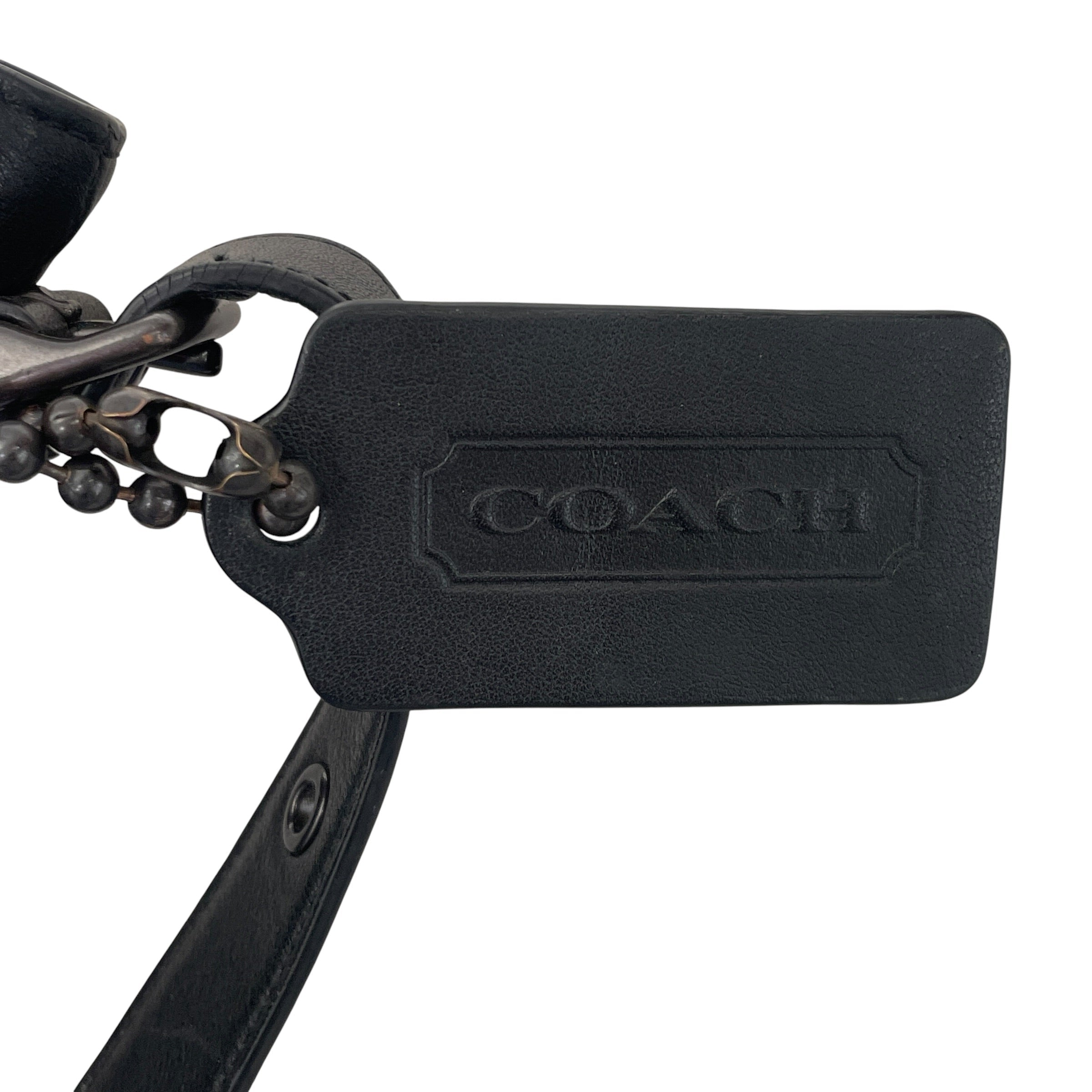 COACH/Cross Body Bag/Leather/BLK/BLEEKER BUCKET view 5