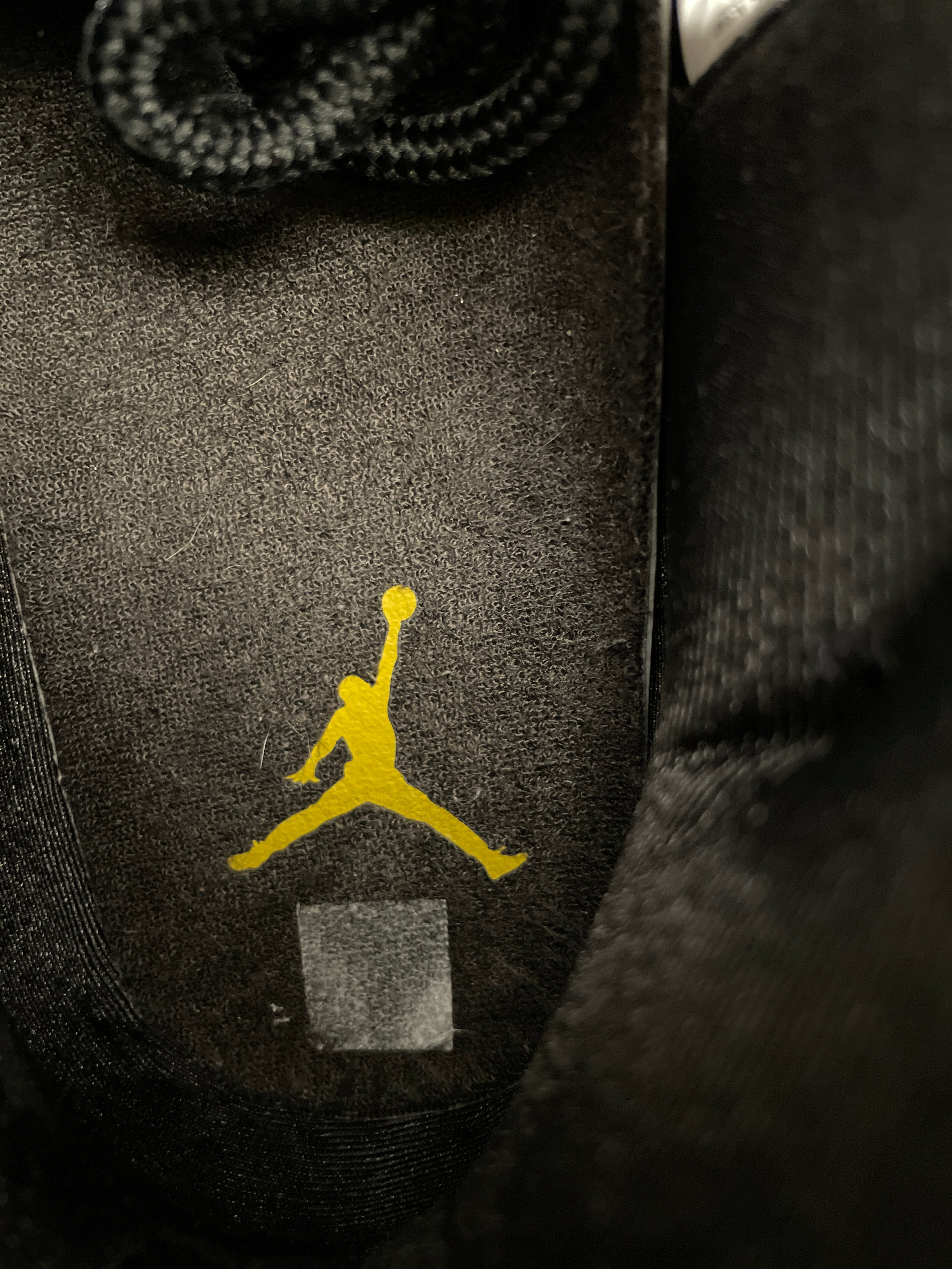 JORDAN BRAND/Hi-Sneakers/US 12/Cotton/BLK/GAMMAS view 3
