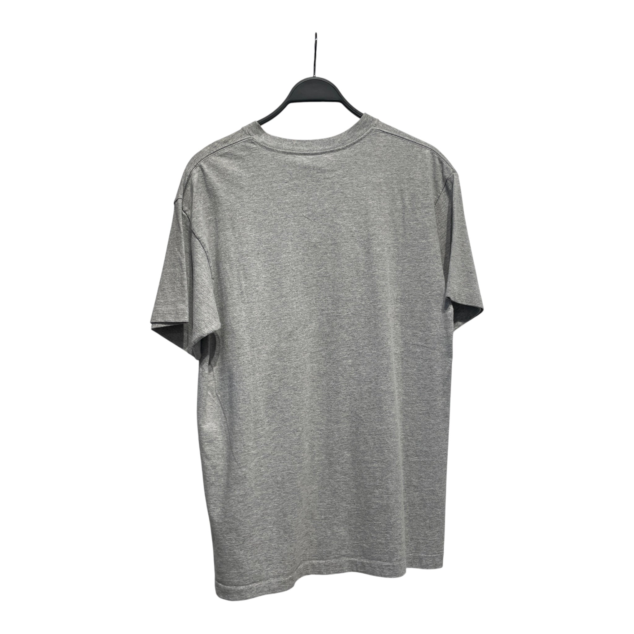 STUSSY/T-Shirt/L/Cotton/GRY/sneaker view 2