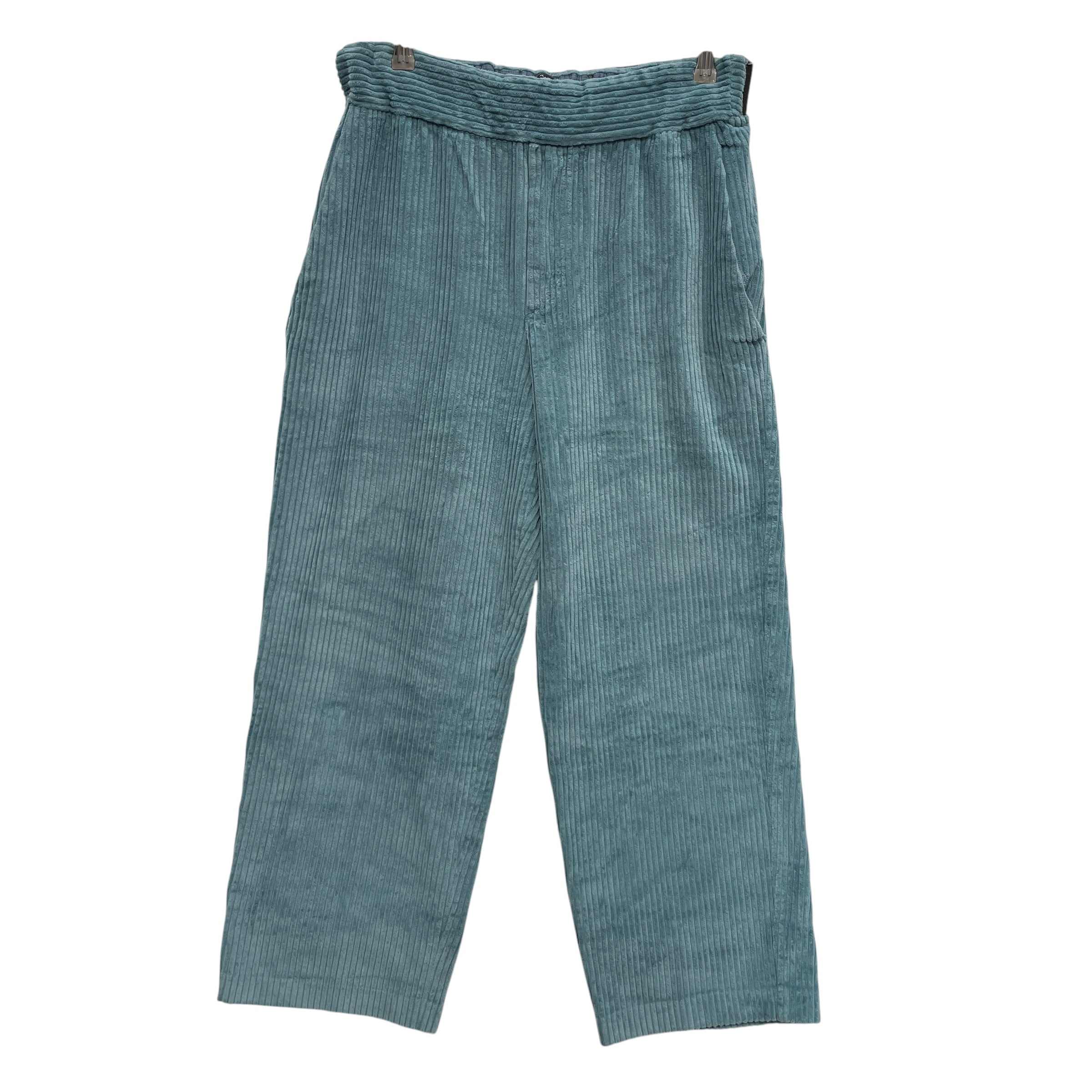 ISABEL MARANT/Skinny Pants/40/Cotton/BLU/BLUE CORDUROY view 1