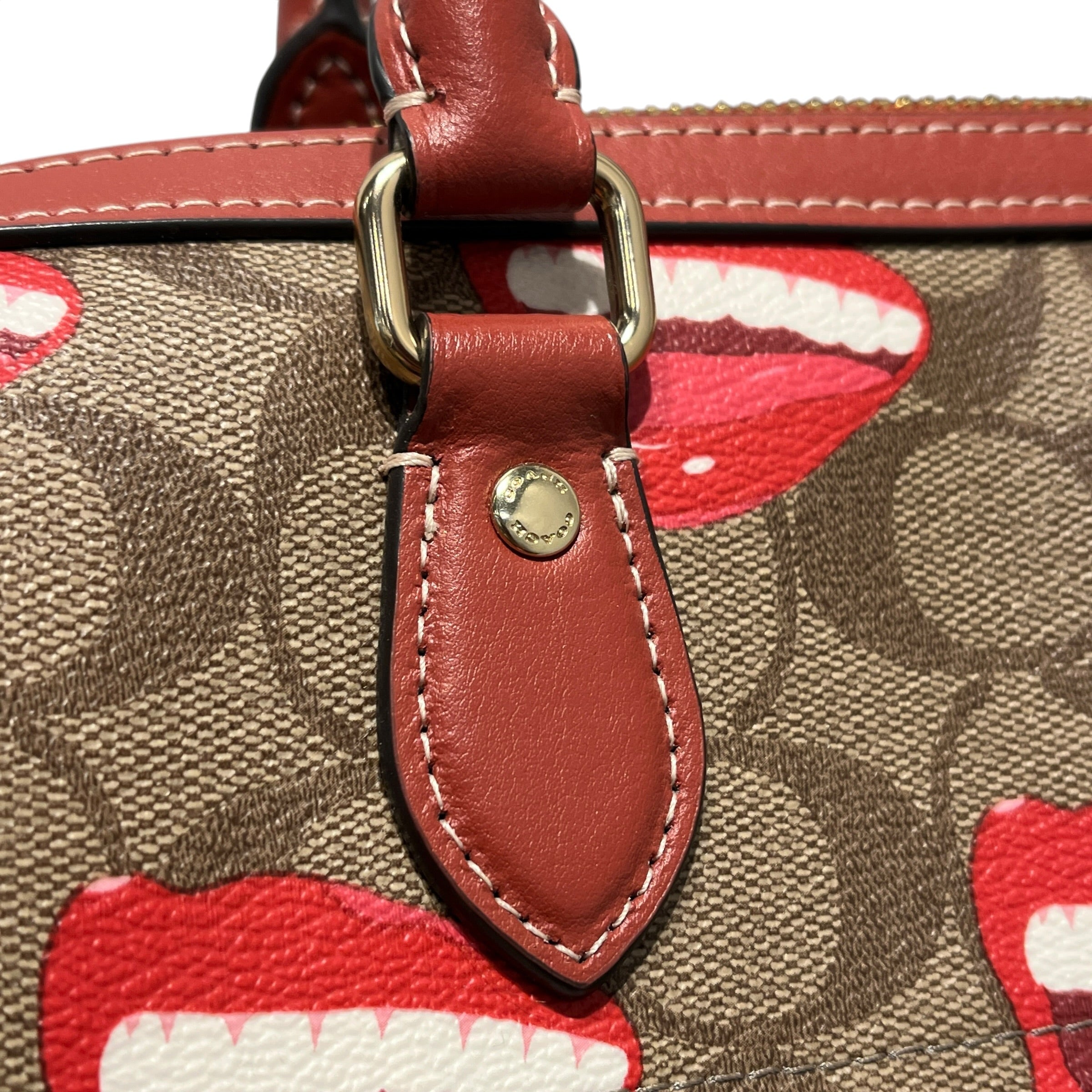 COACH/Bag/All Over Print/Leather/BRW/SATCHEL MOUTH PRINT view 16