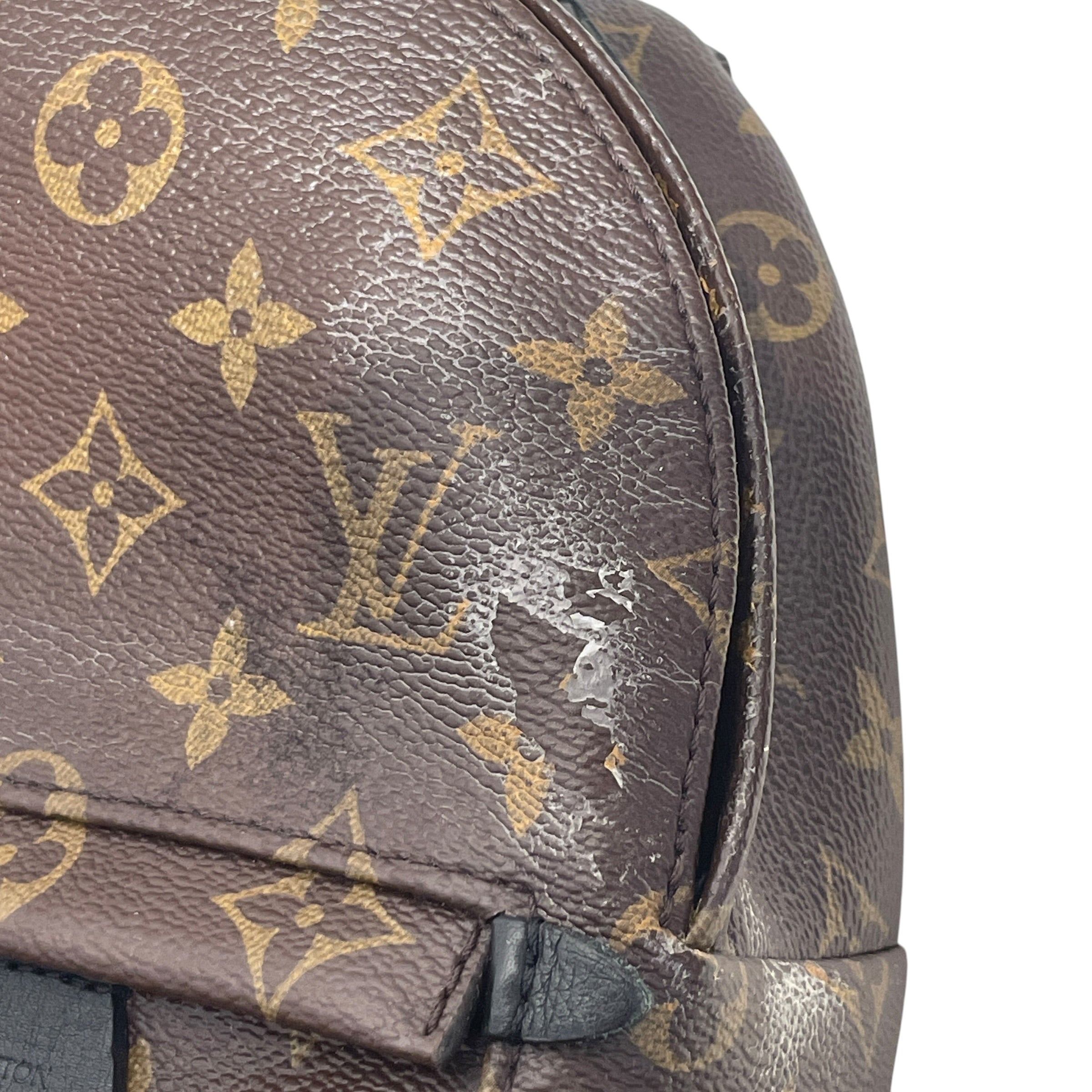 LOUIS VUITTON/Backpack/Monogram/Leather/BRW/PALM SPRINGS MINI view 7