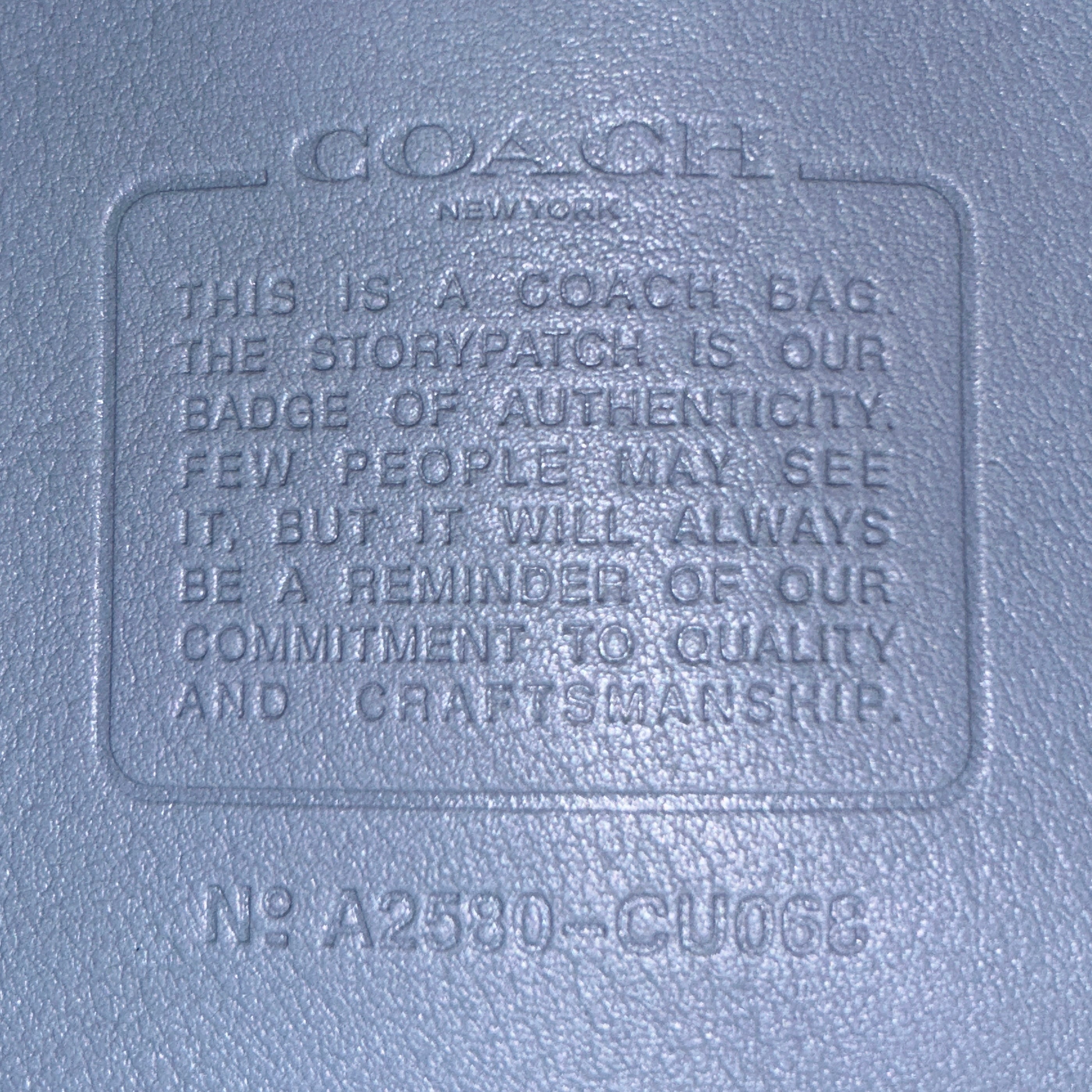 COACH/Tote Bag/Leather/BLU/CU068 Brooklyn view 3