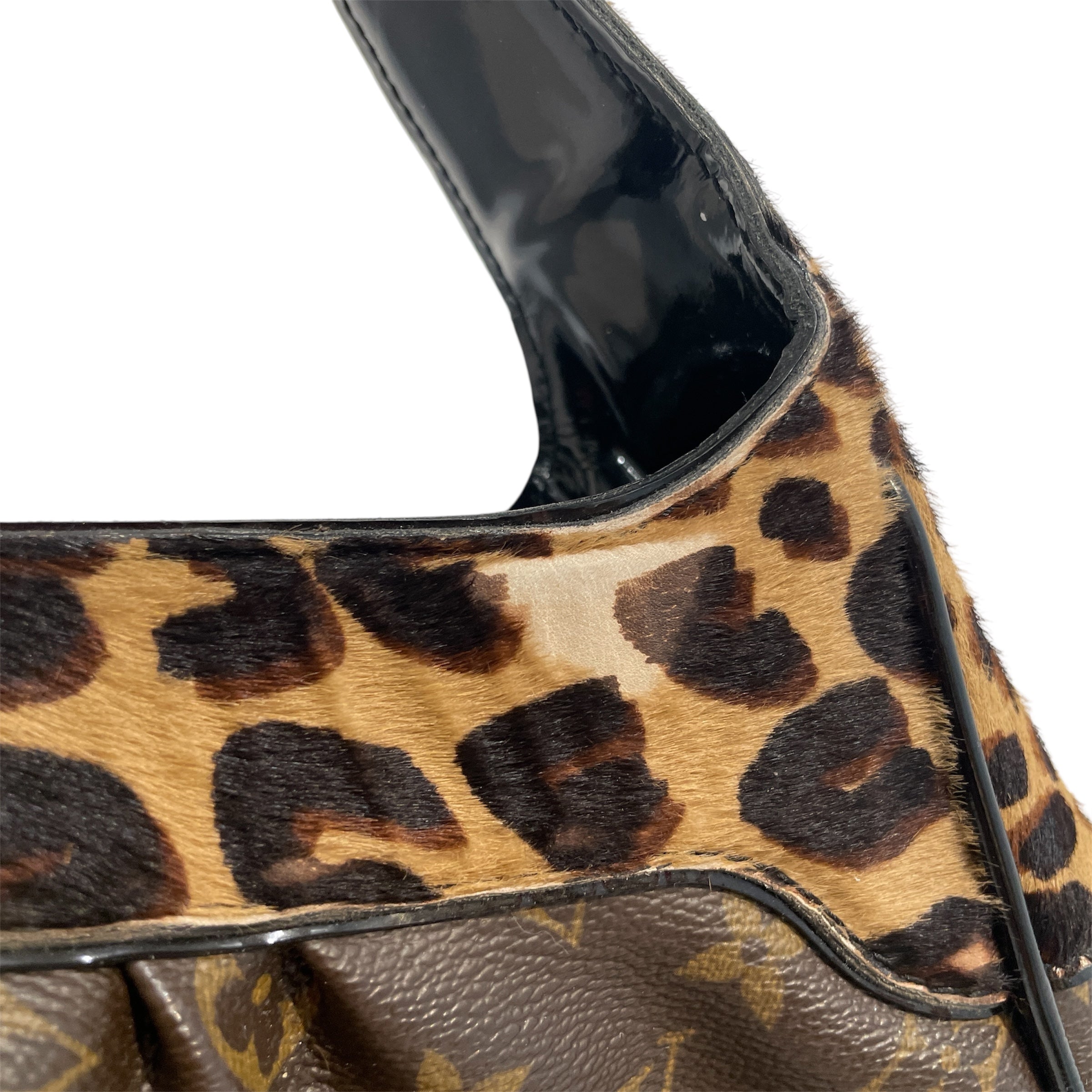 LOUIS VUITTON/Hand Bag/Monogram/Leather/BRW/Monogram Leopard Polly view 10