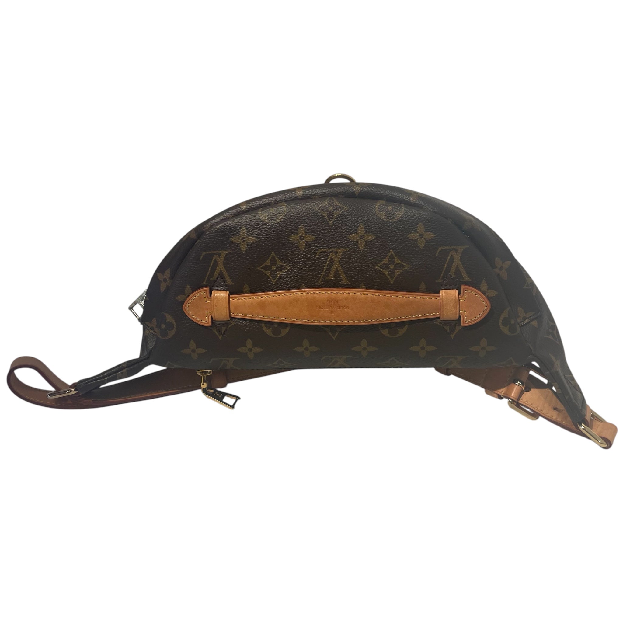 LOUIS VUITTON/Fanny Pack/Monogram/Leather/BRW/bum bag view 8