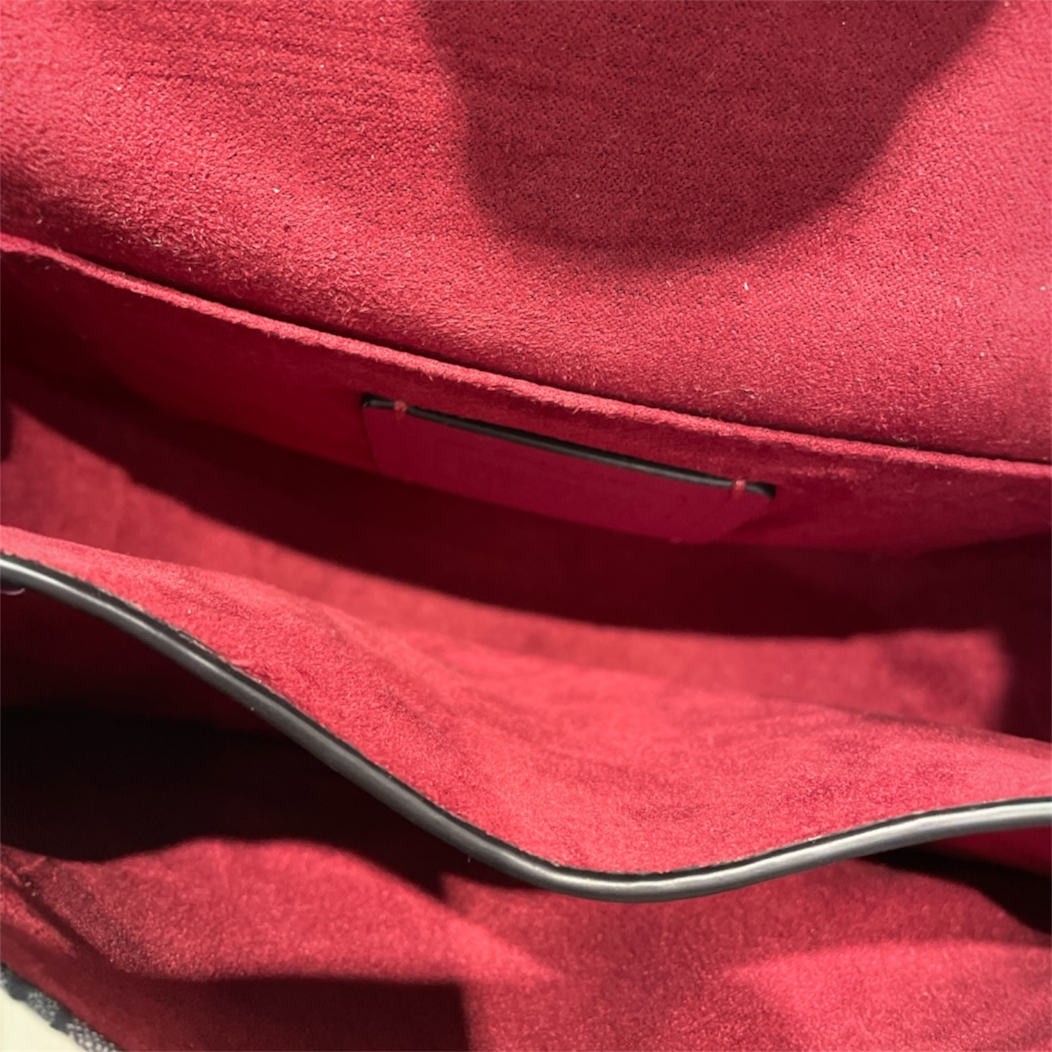 COACH/Hand Bag/IDG/georgie saddle bag view 5