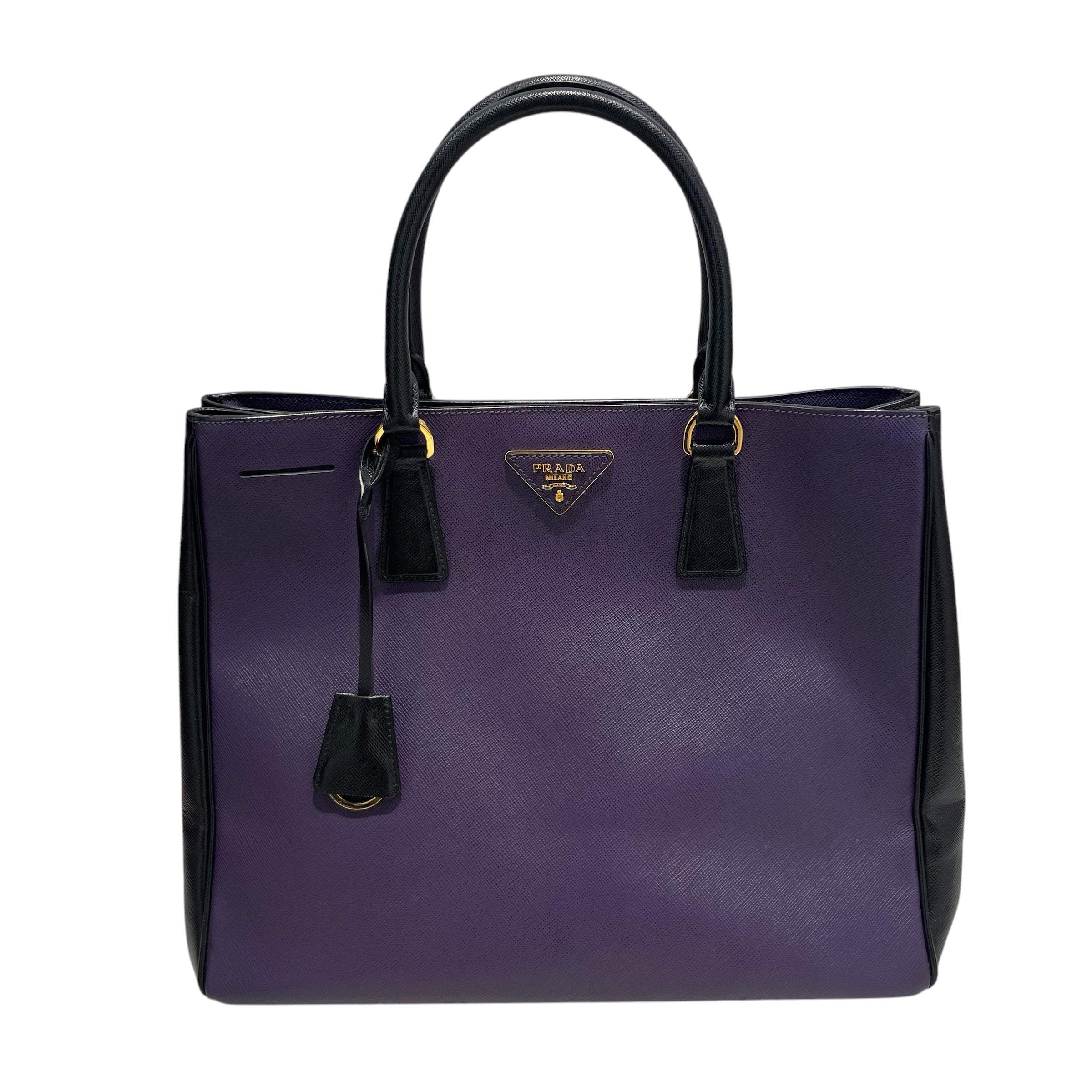 PRADA/Tote Bag/Leather/PPL/BLK SIDES,GLD HARDWARE view 1