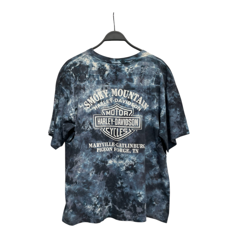 HARLEY DAVIDSON/T-Shirt/L/Cotton/MLT/PIGEON FORGE