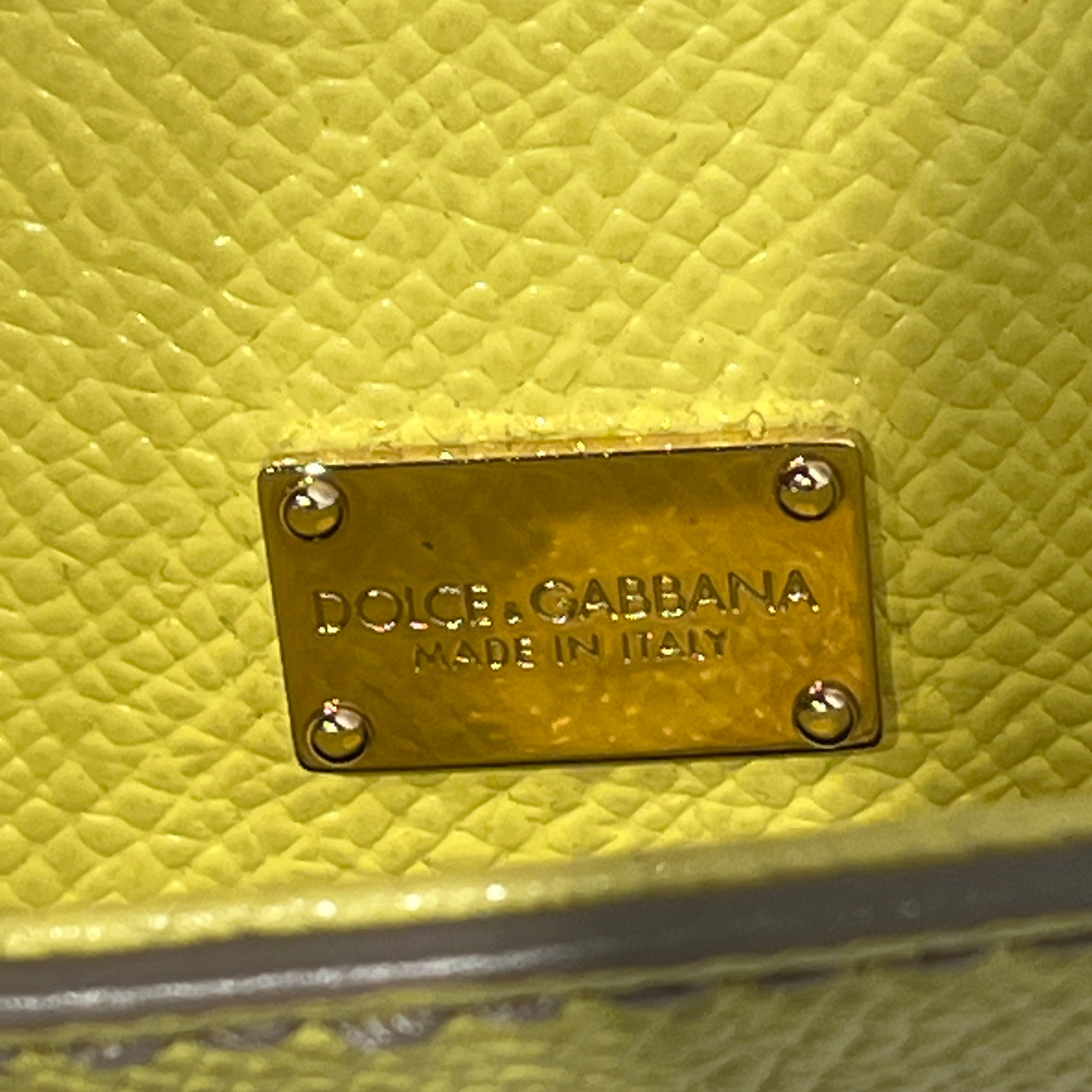 DOLCE&GABBANA/Hand Bag/Leather/YEL/SICILY DAUPHINE/LEOPARD LINING view 17