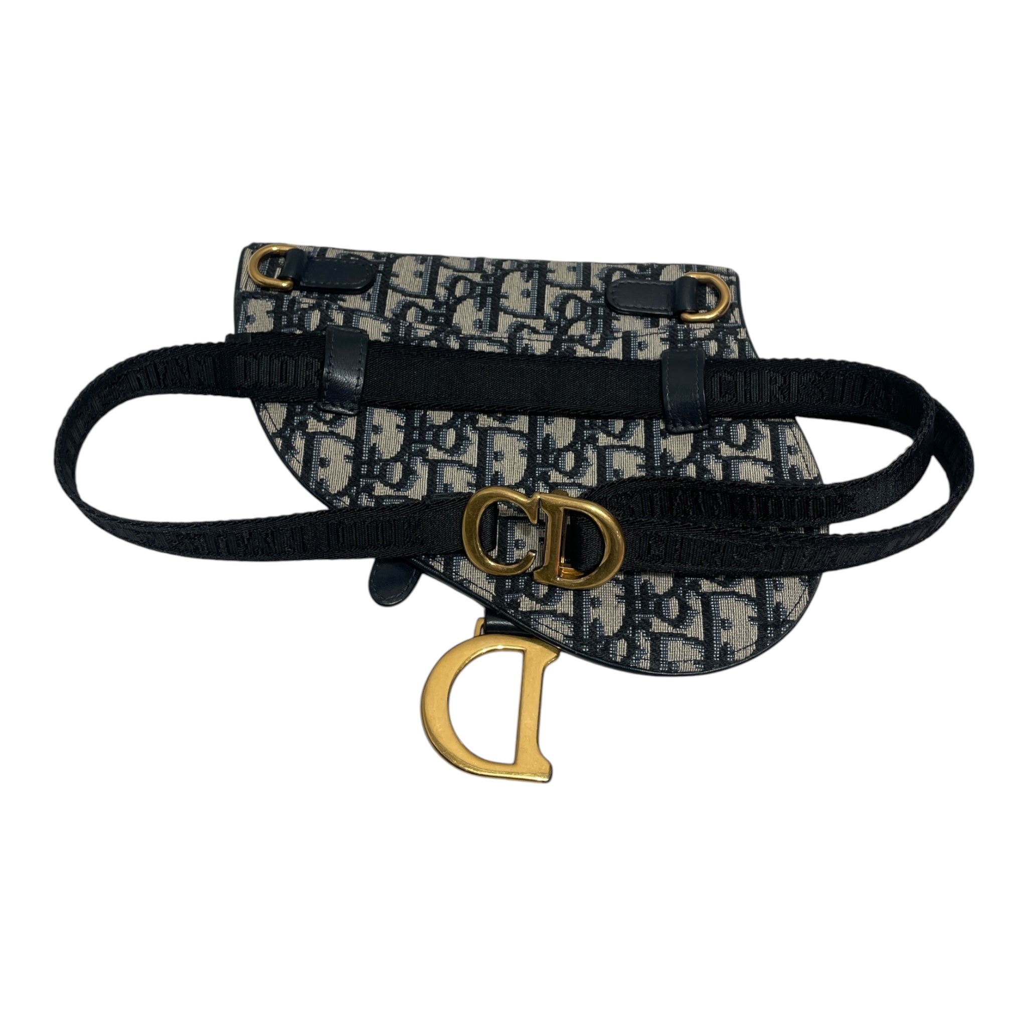 Christian Dior/Fanny Pack/Belt Bag Oblique Saddle view 2
