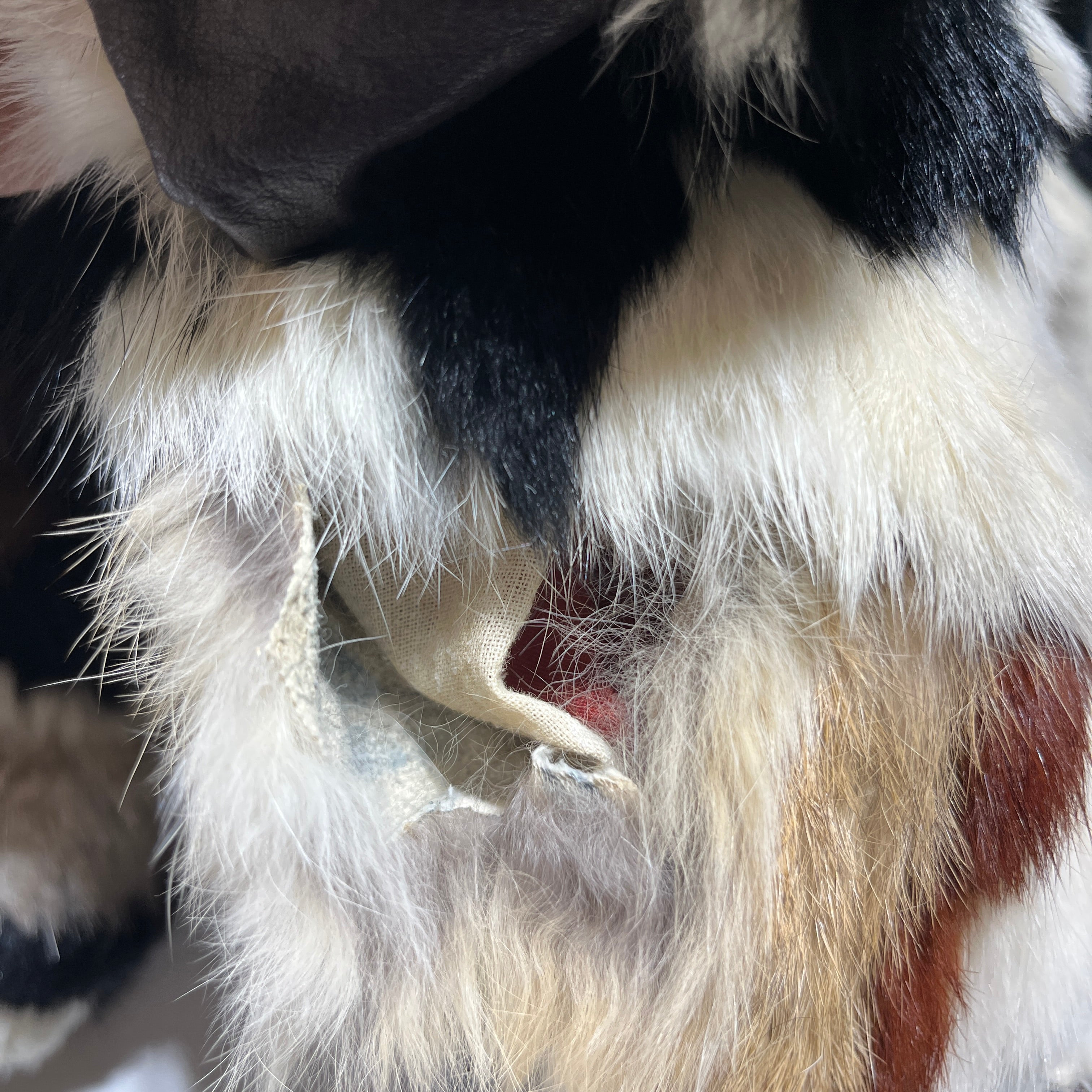 Evans/Coat/10/Animal Pattern/Silk/WHT/Fur/Damage on right shoulder view 15