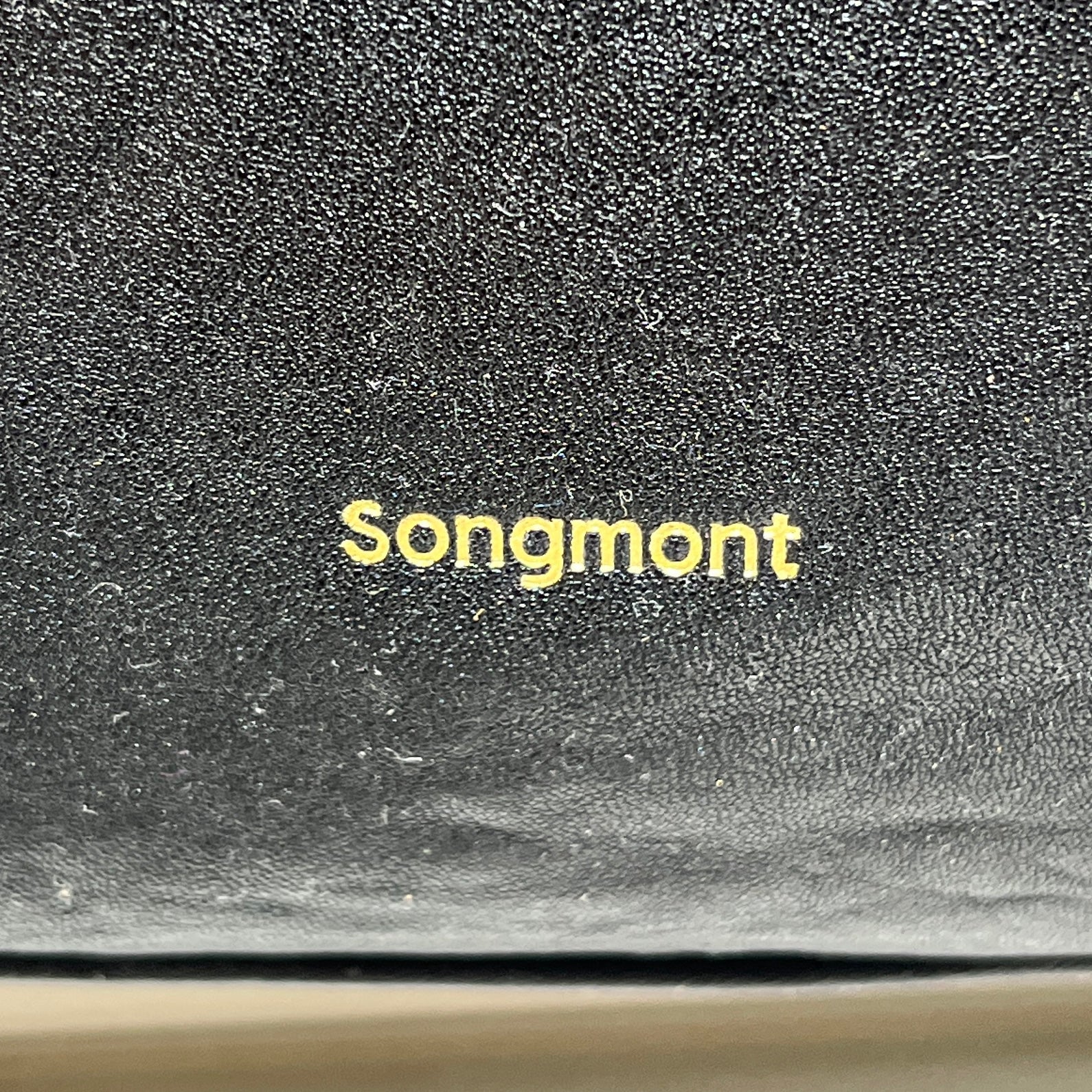 SONGMONT/Tote Bag/Leather/BLK/GOLDHARDWARE view 3
