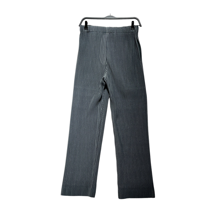 HOMME PLISSE ISSEY MIYAKE/Straight Pants/1/Polyester/GRY/