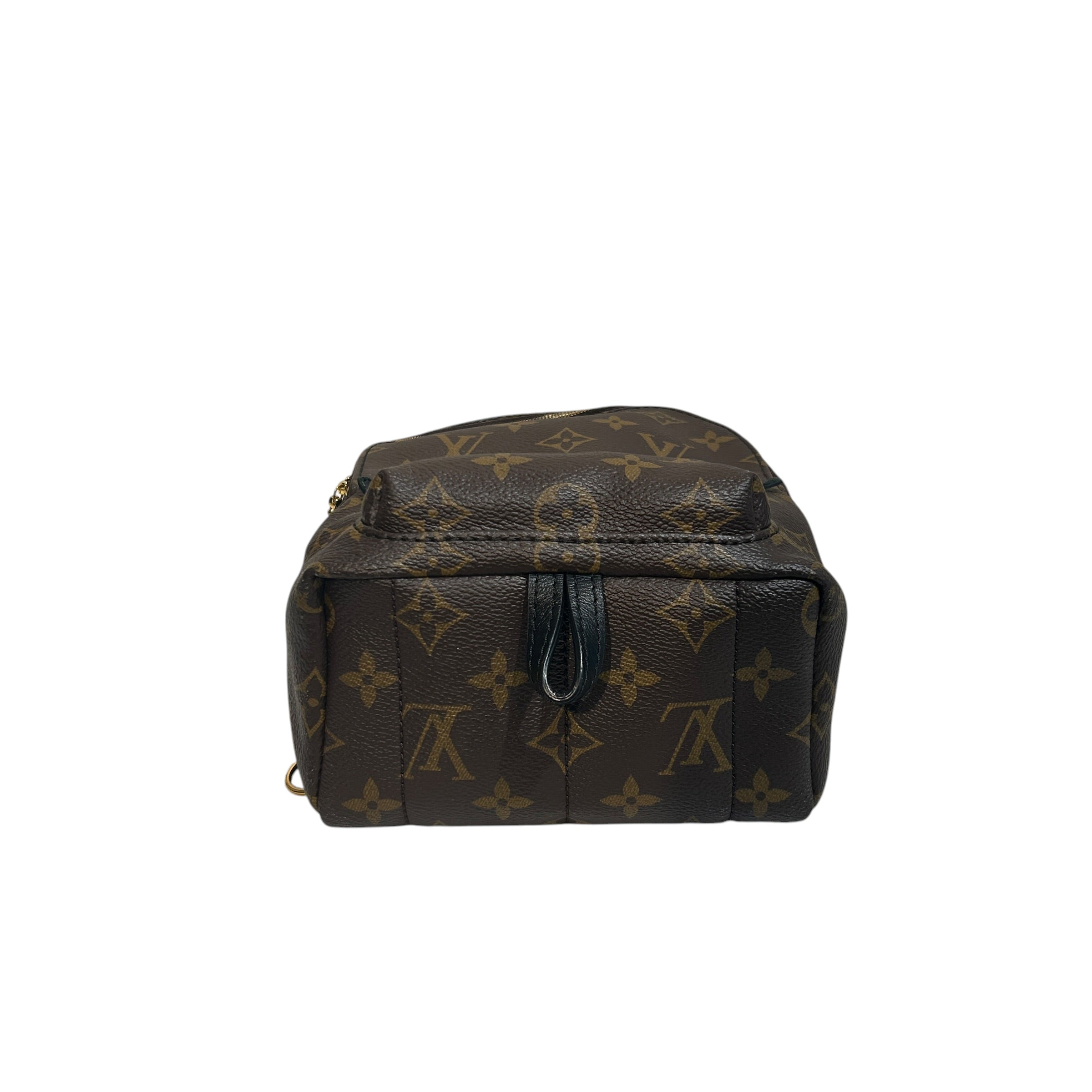 LOUIS VUITTON/Backpack/Monogram/Leather/BRW/MINI PALM SPRINGS view 3