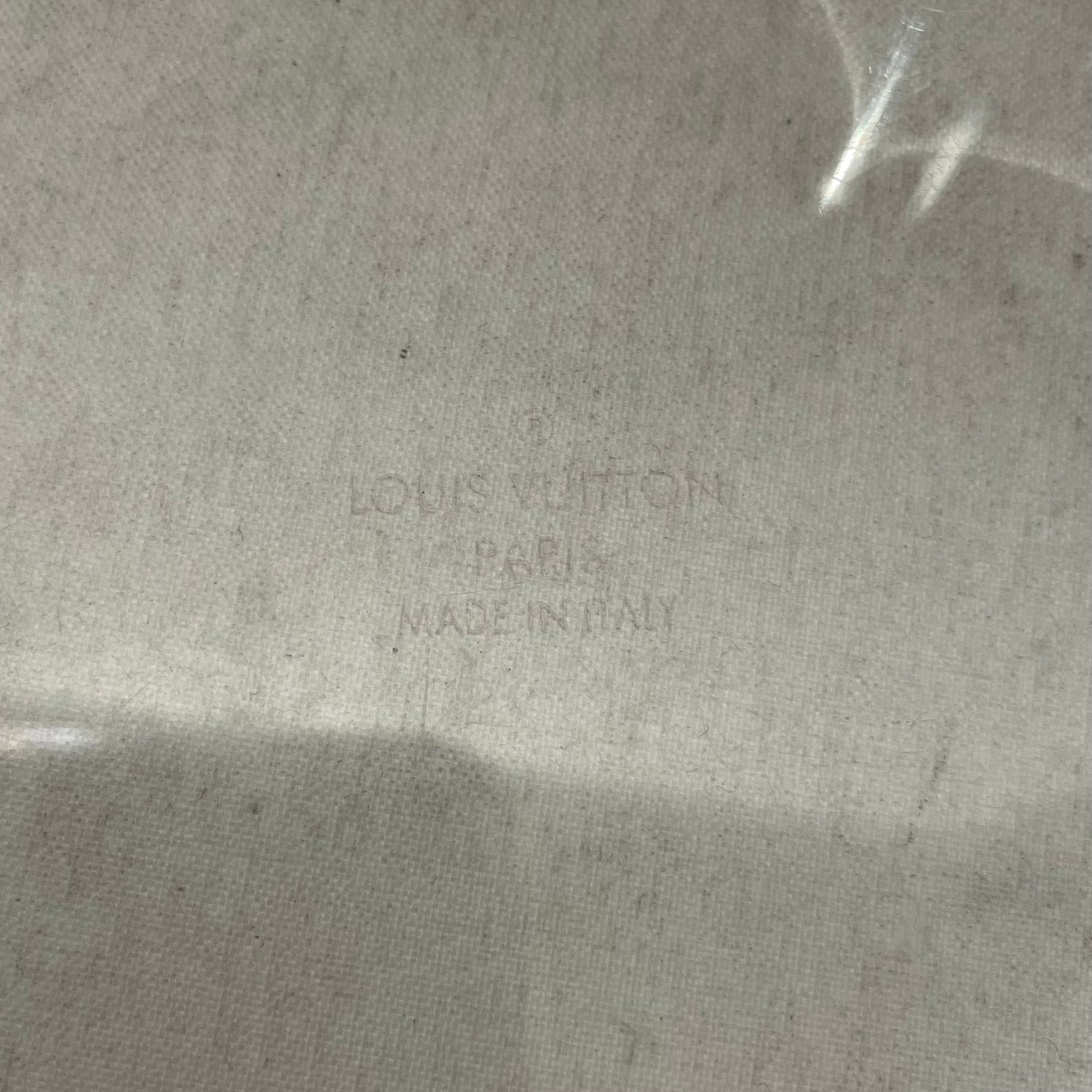 LOUIS VUITTON/Clutch Bag/Monogram/CLR/Clear Box Scott view 4