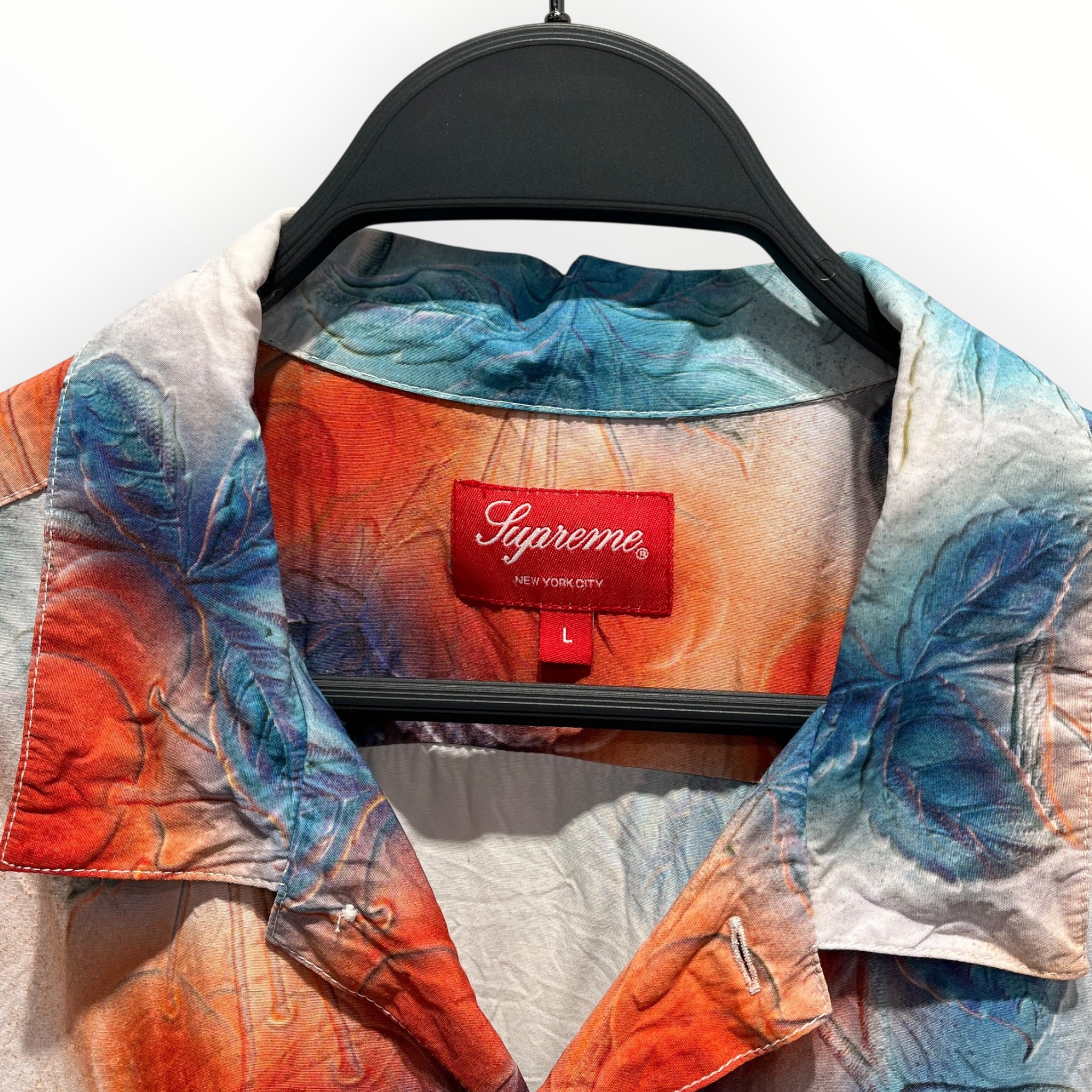 Supreme/SS Shirt/L/Cotton/BLU/All Over Print/CHERRIES S/S BUTTON UP view 3