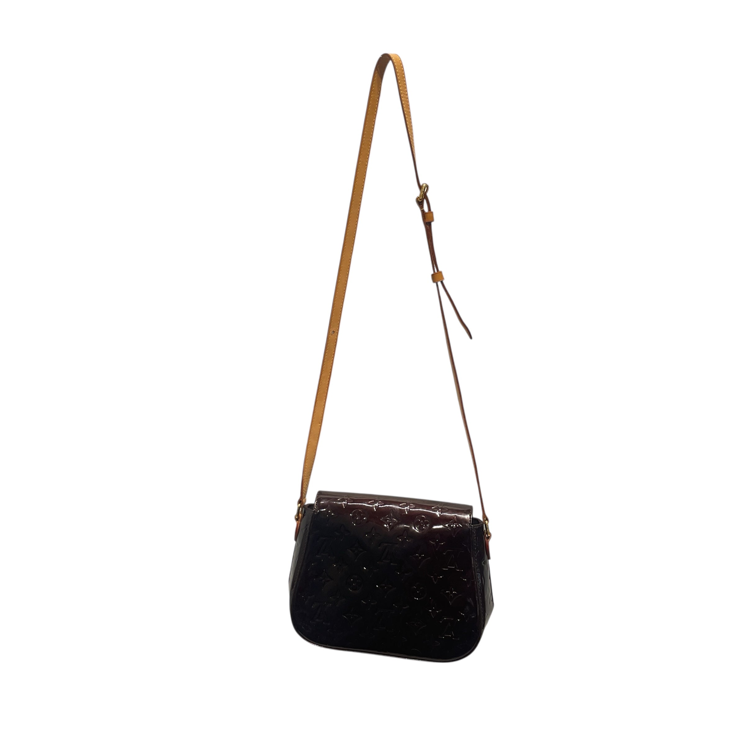 LOUIS VUITTON/Cross Body Bag/Acrylic/PPL/VERNIS view 2