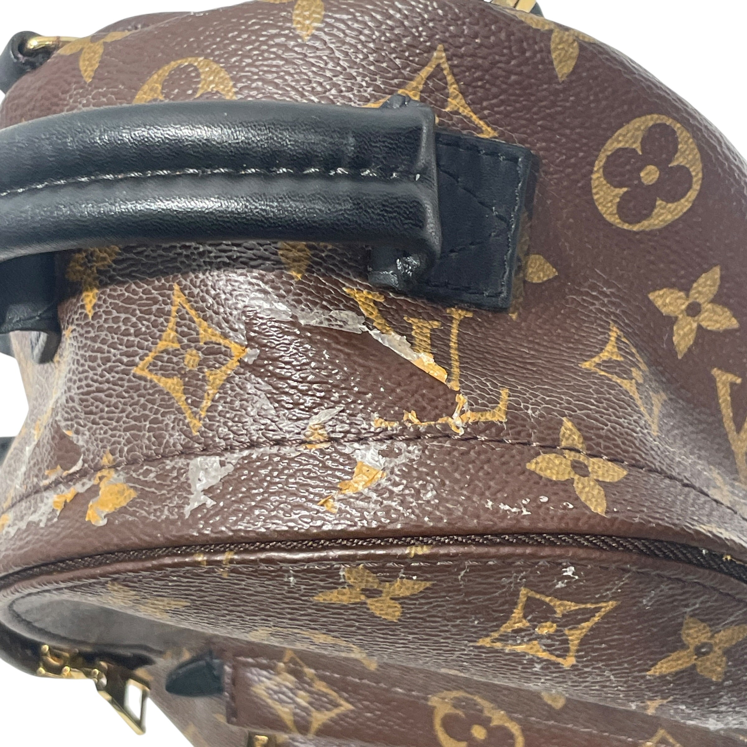 LOUIS VUITTON/Backpack/Monogram/Leather/BRW/PALM SPRINGS MINI view 5