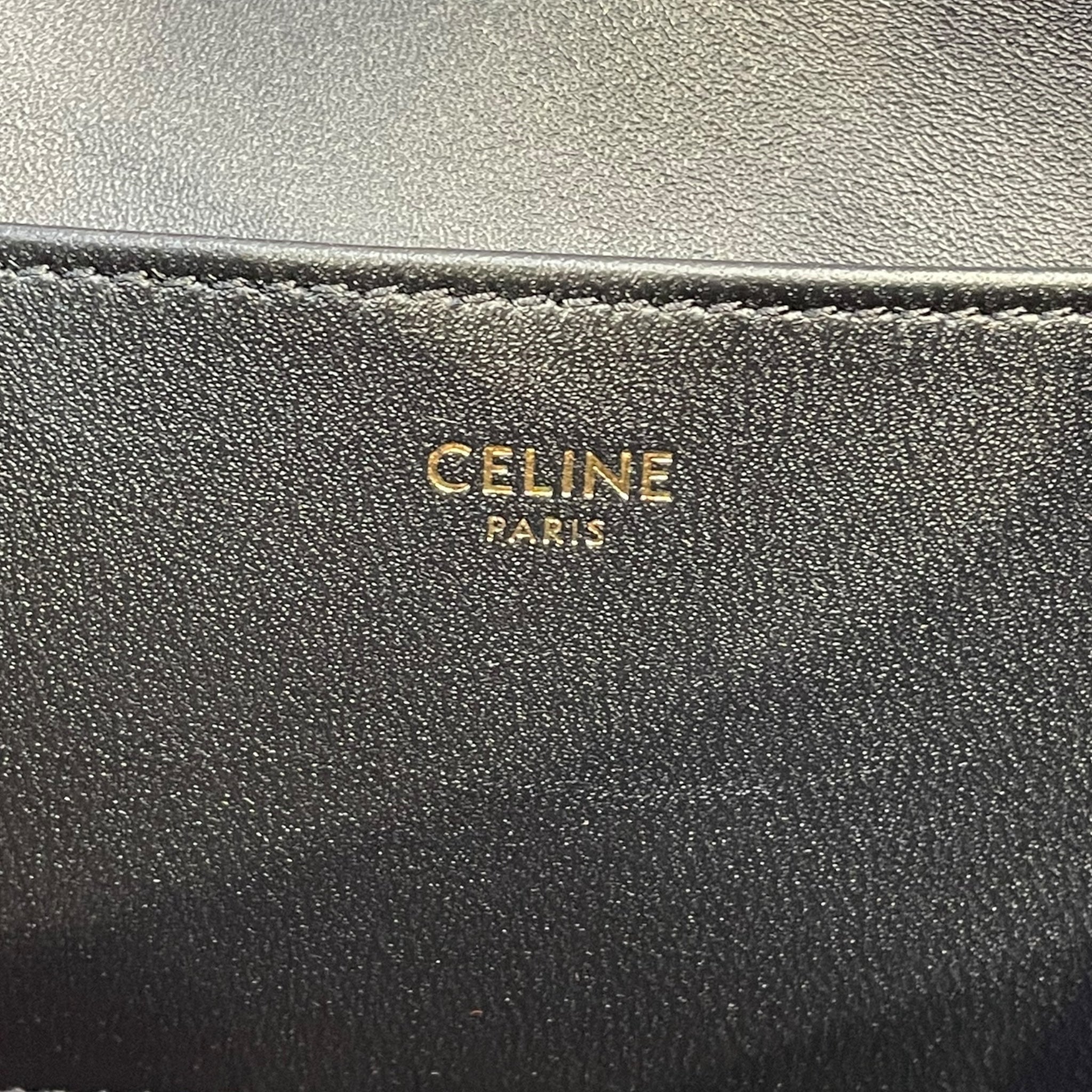 CELINE/Bag/Leather/BLK/celine view 5