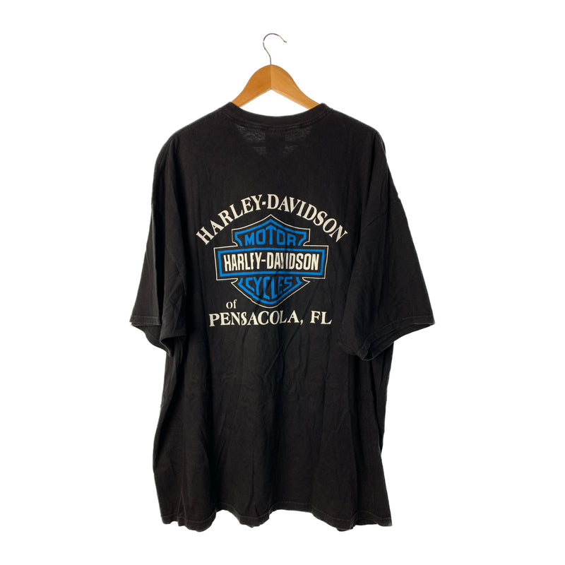 HARLEY DAVIDSON/T-Shirt/Black/Cotton/Graphic/