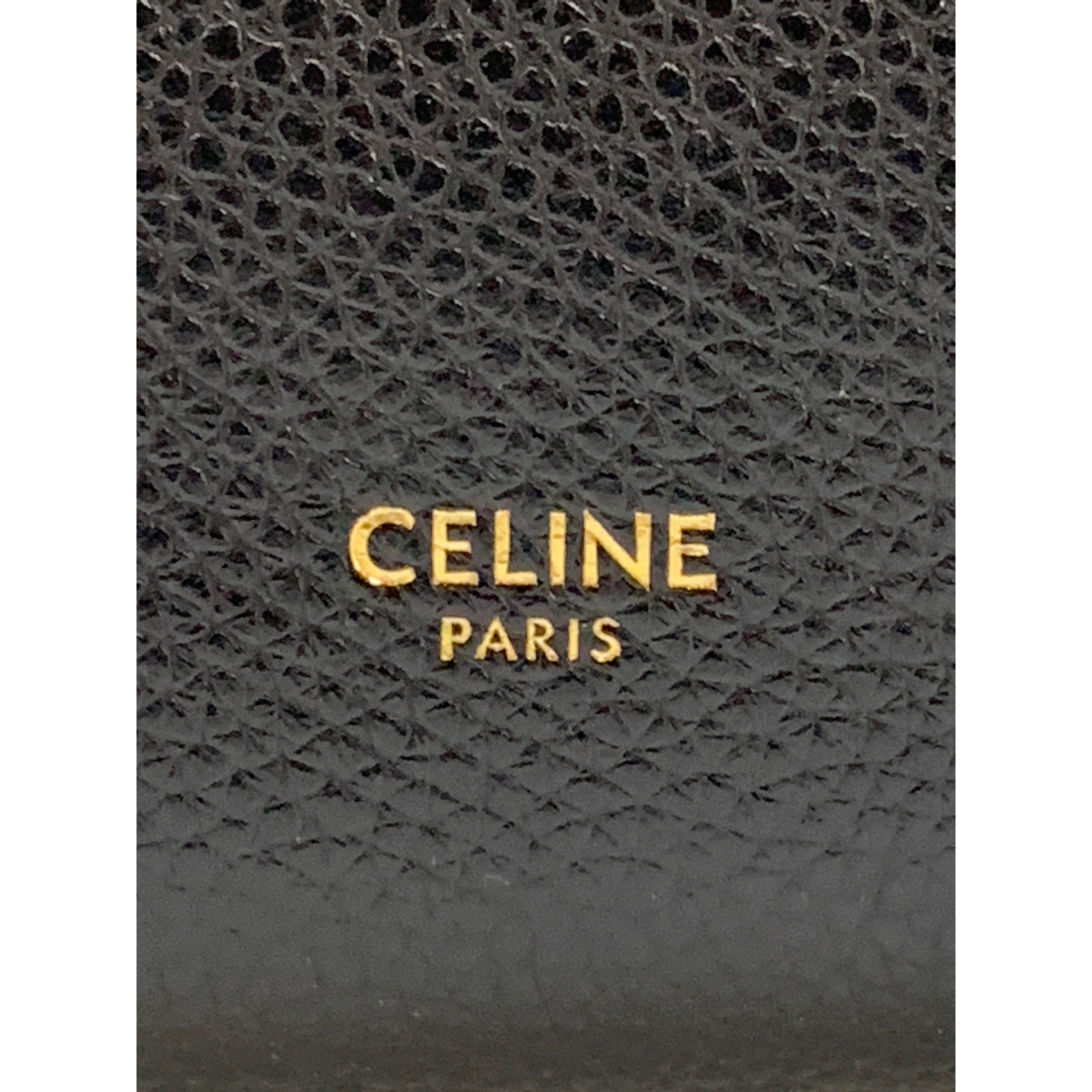 CELINE/Cross Body Bag/Black/Leather/18930 view 5