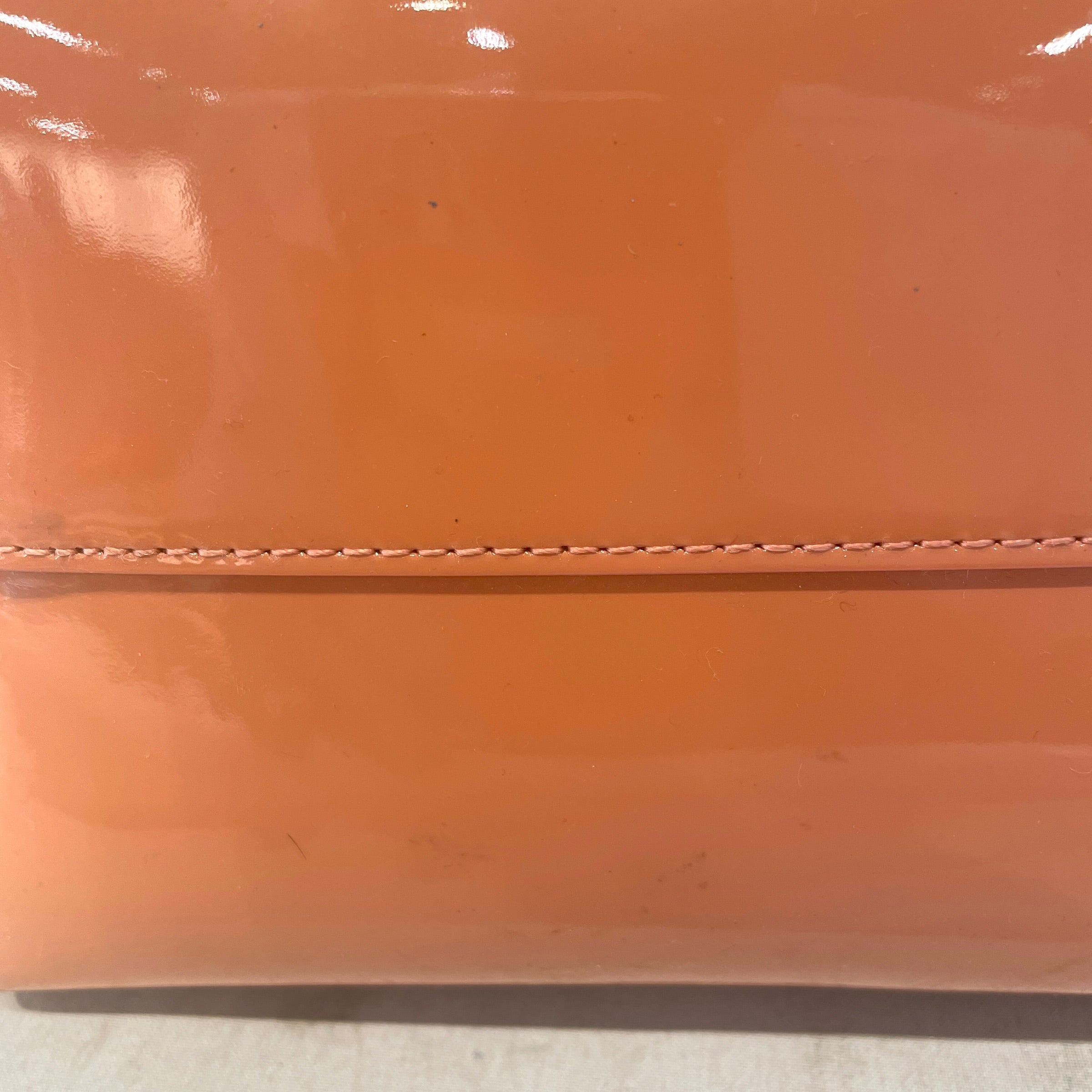 Mansur Gavriel/Cross Body Bag/ORN/ view 6