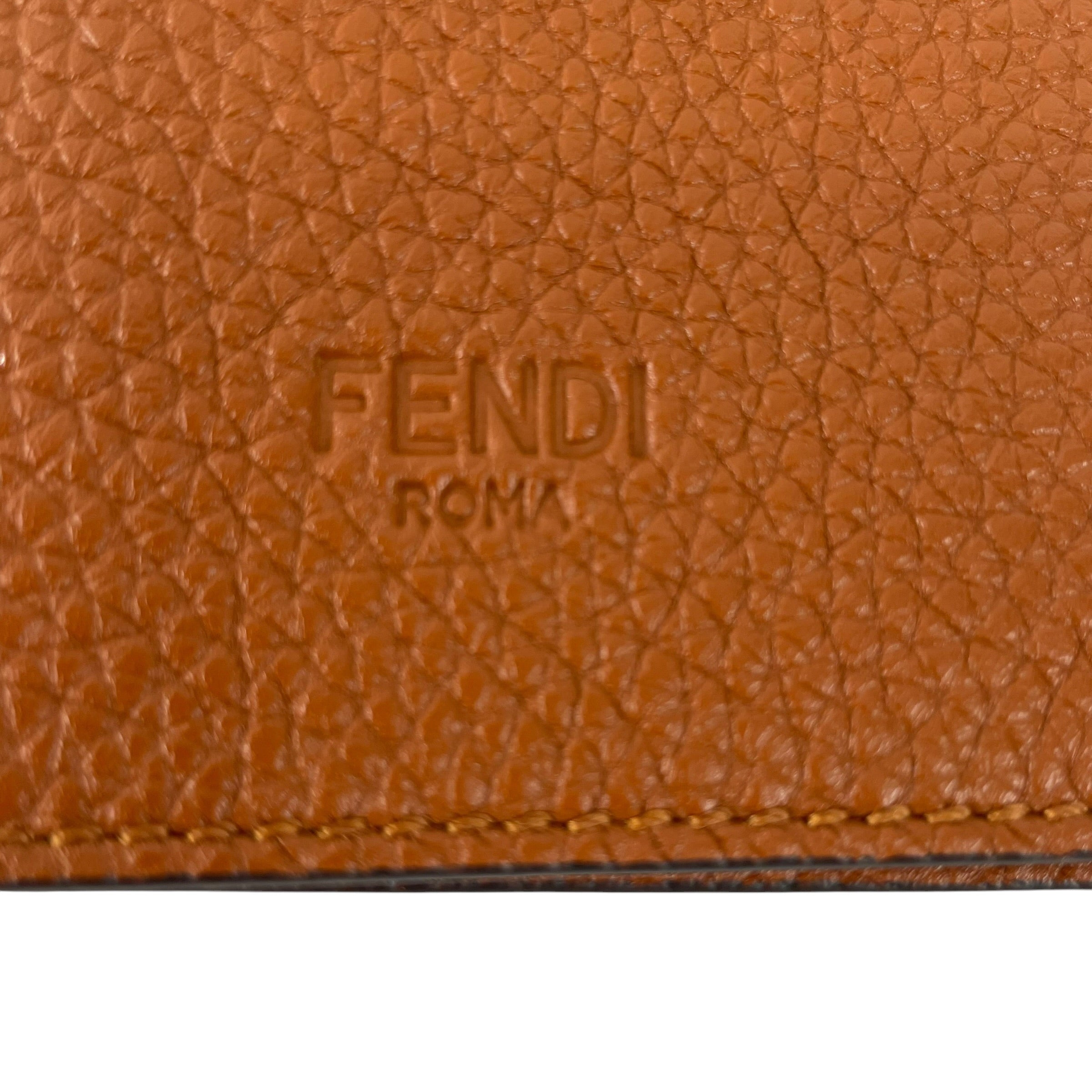 FENDI/Accessories/Leather/BRW/PASSPORT HOLDER/7AS378 ADYW view 5