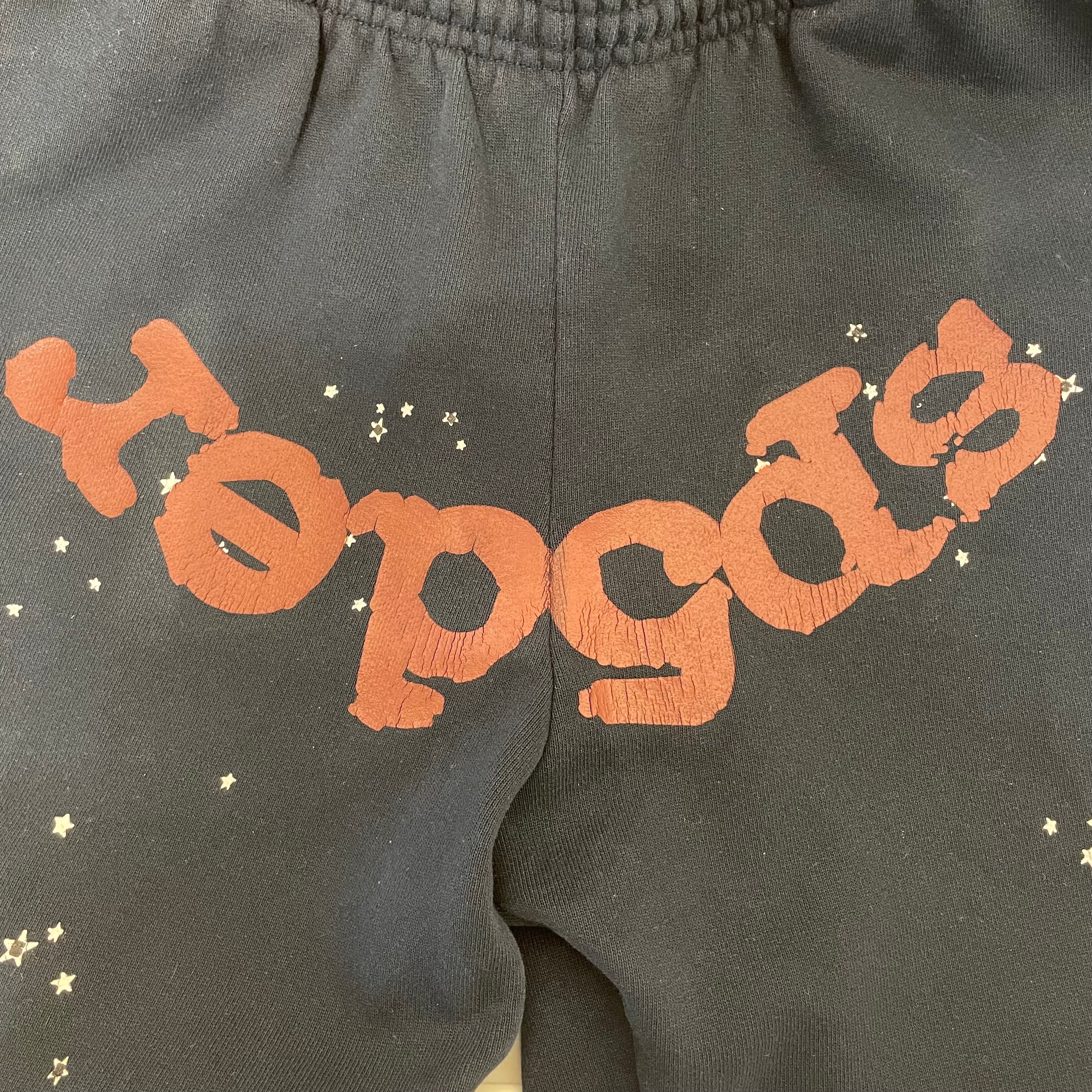 Sp5der/Pants/M/Cotton/NVY/Graphic/navy joggers view 3