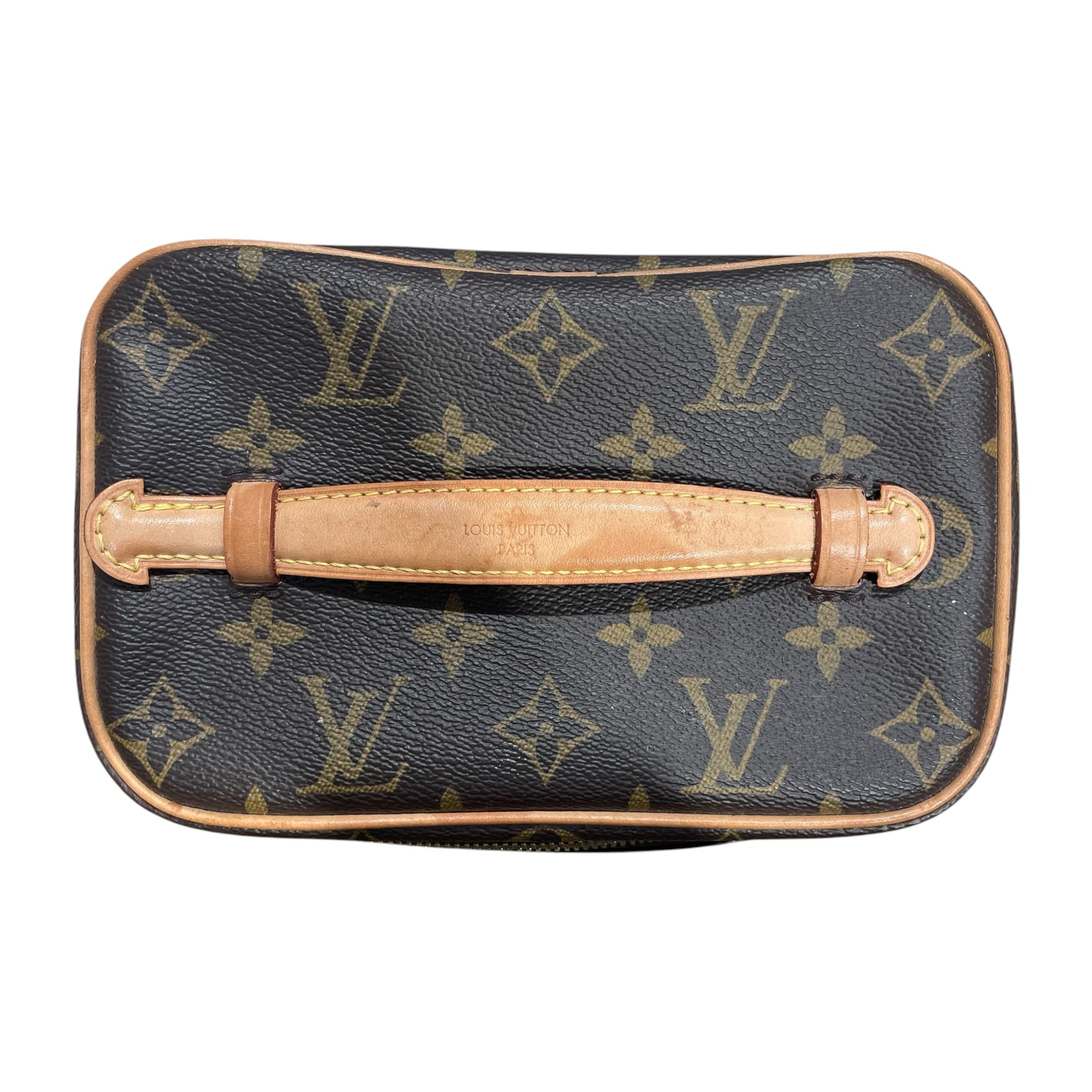LOUIS VUITTON/Bag/Monogram/Leather/BRW/NICE MINI view 7