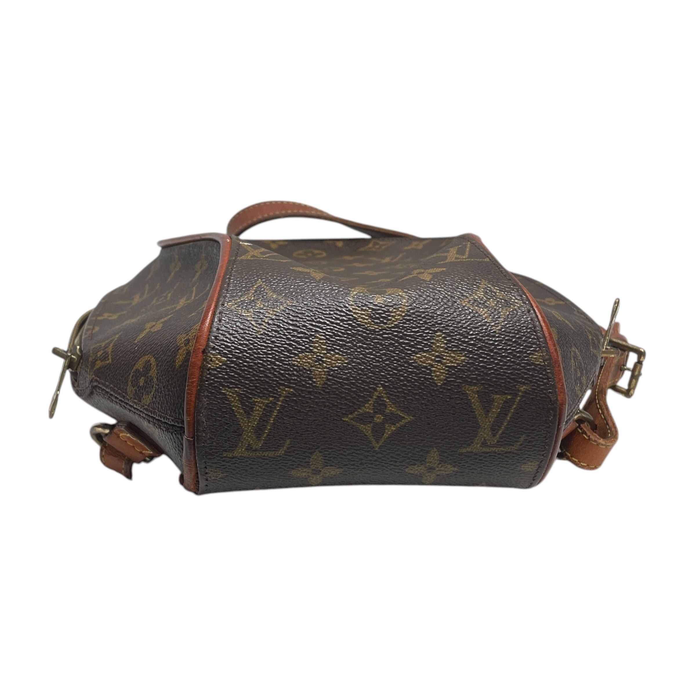 LOUIS VUITTON/Backpack/Monogram/Leather/BRW/Ellipse Sac view 3