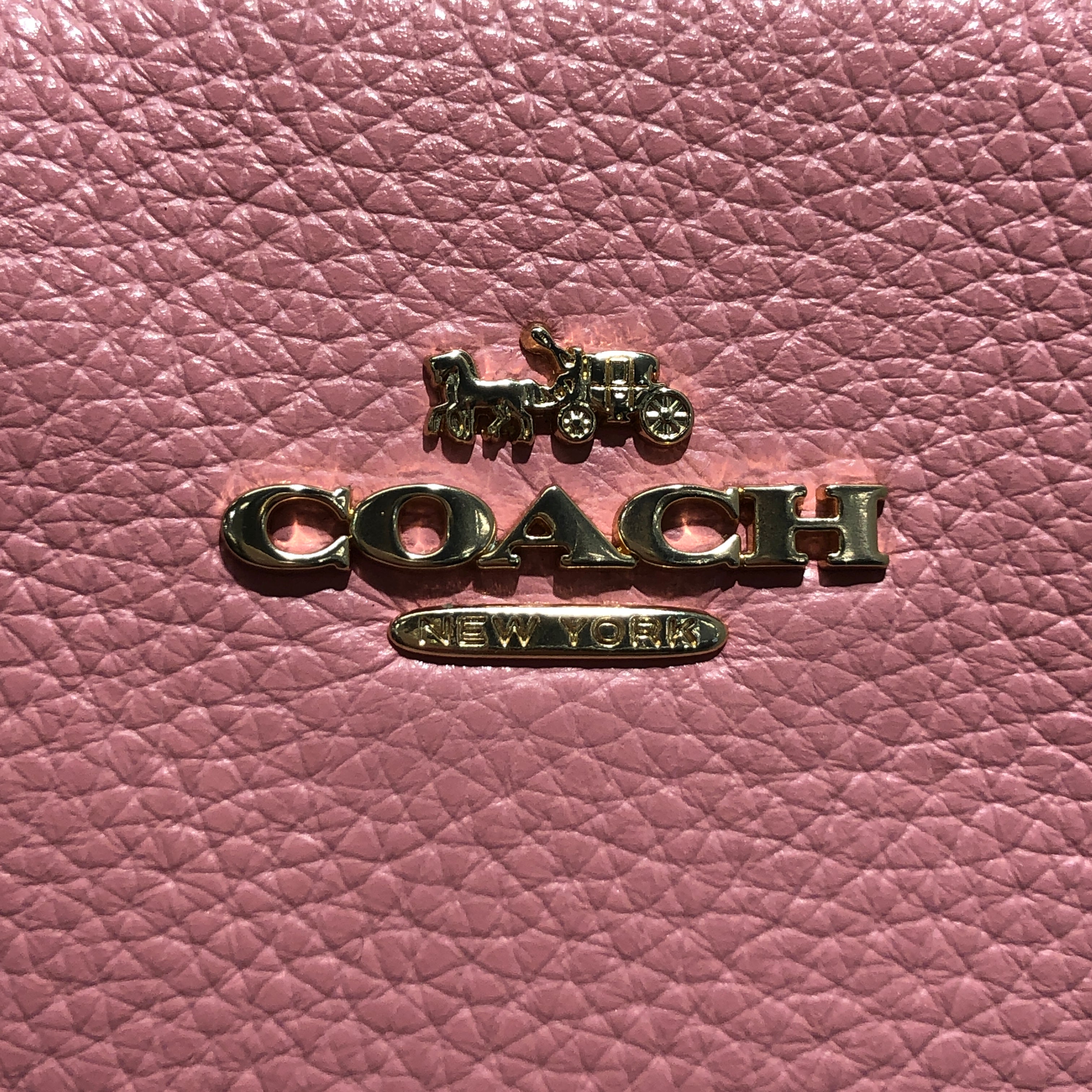 COACH/Cross Body Bag/Leather/PNK/ view 3