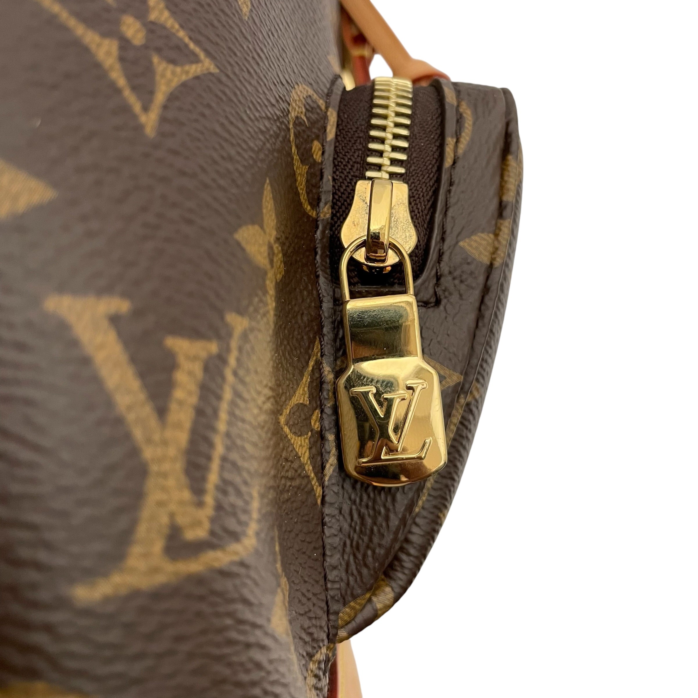 LOUIS VUITTON/Backpack/Monogram/Leather/BRW/Monogram Montsouris view 9