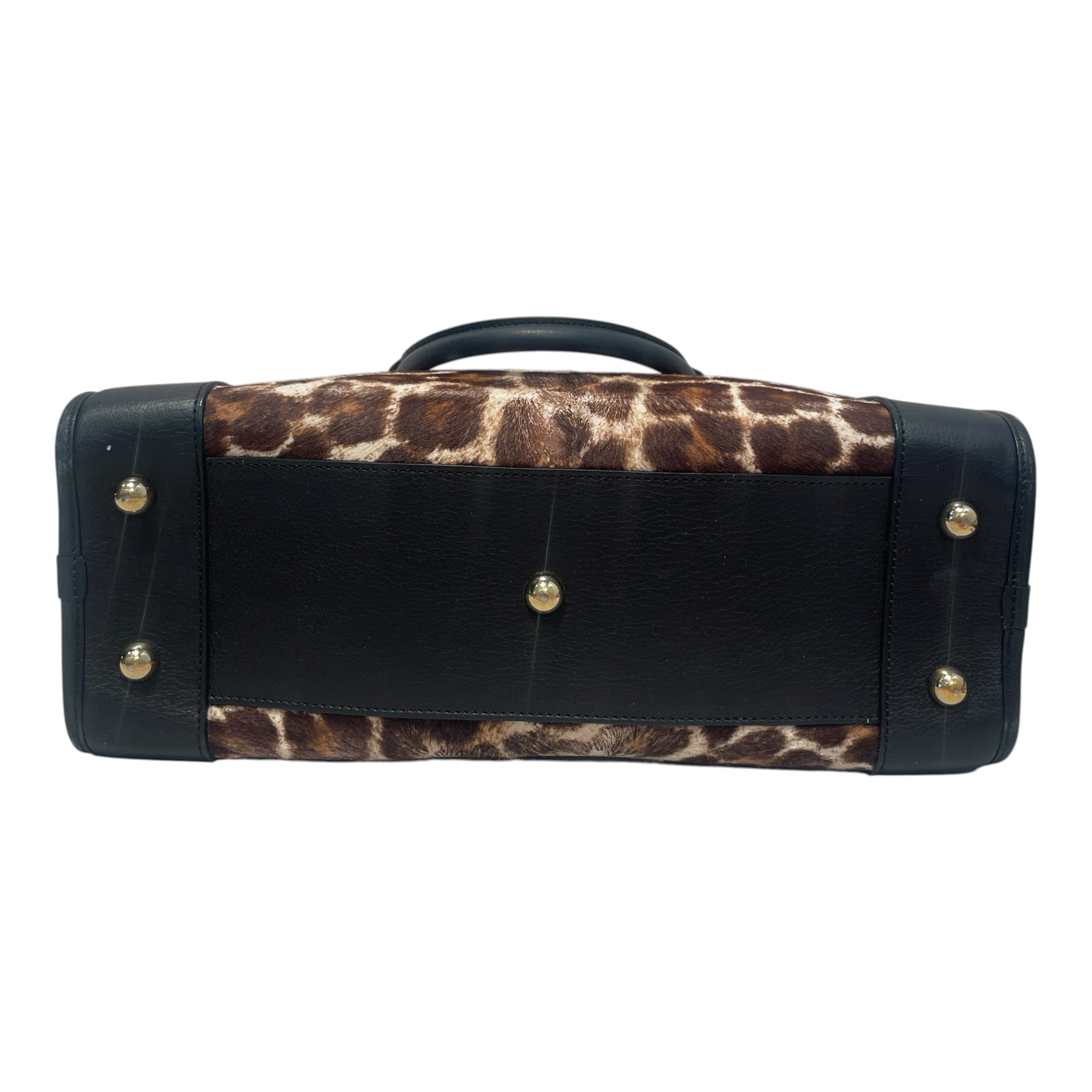 LOEWE/Hand Bag/Animal Pattern/Leather/BRW/Leopard-Print Leather Trim Bag view 4