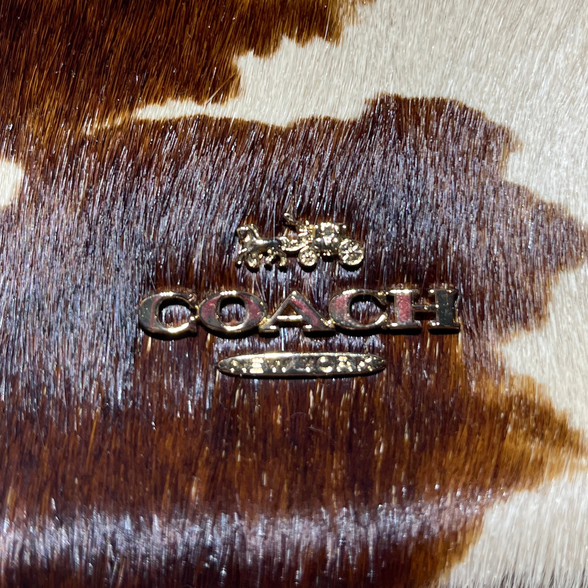 COACH/Hand Bag/Cowhide/BRW/CALFPRINT view 5