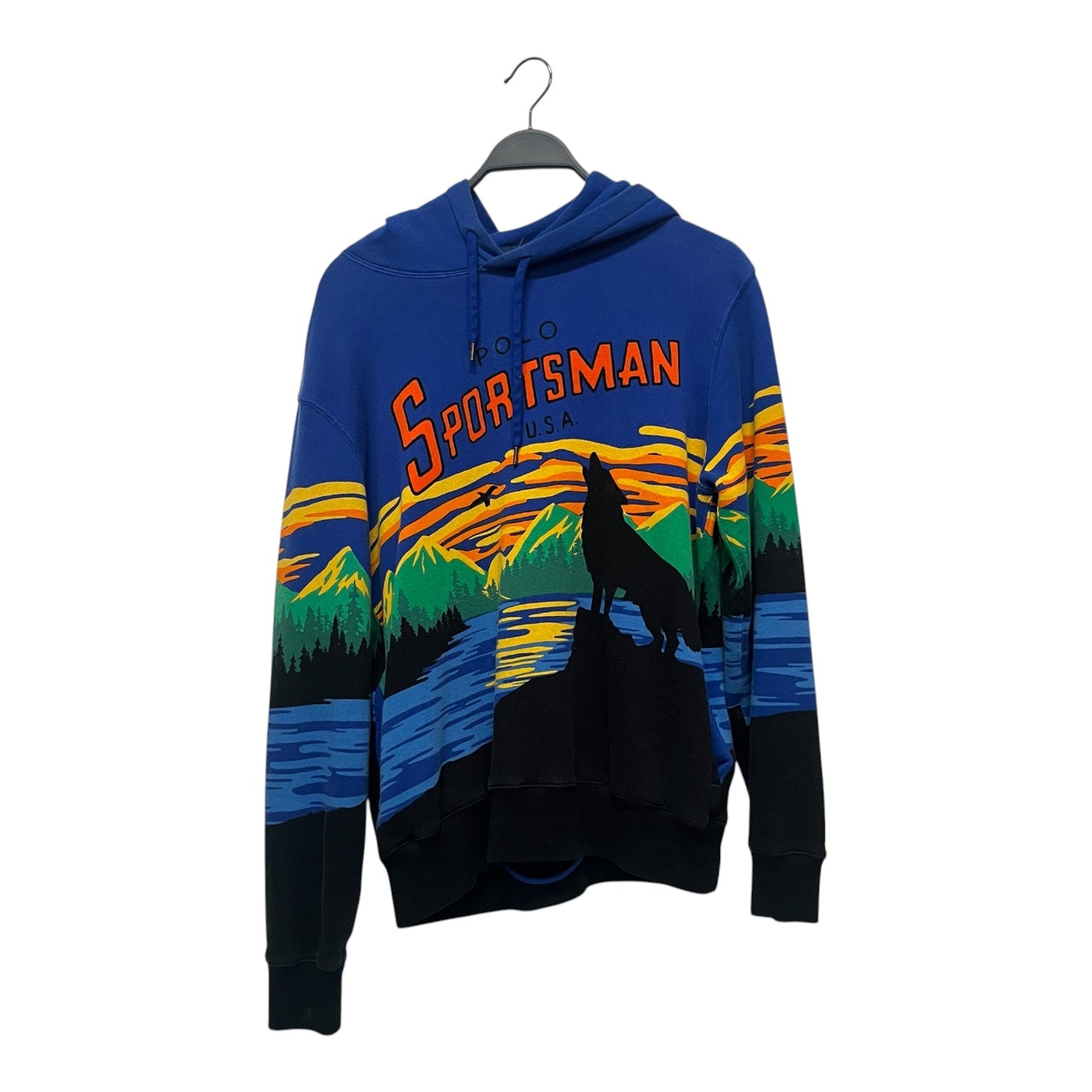 POLO RALPH LAUREN/Hoodie/M/Cotton/BLU/SCENIC SPORTSMAN HOODIE view 1
