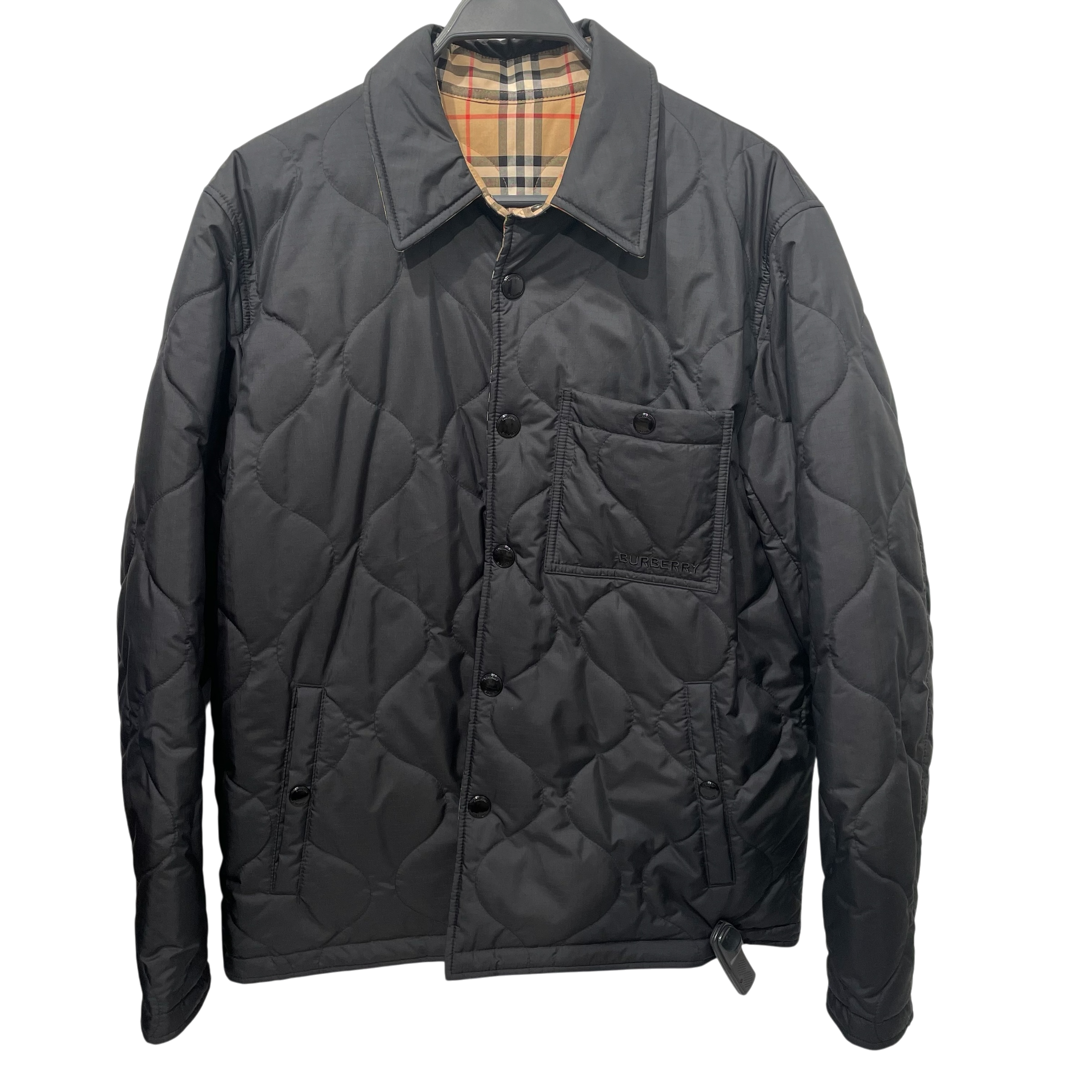 BURBERRY/Flannel Shirt/L/MLT/Plaid/ view 1