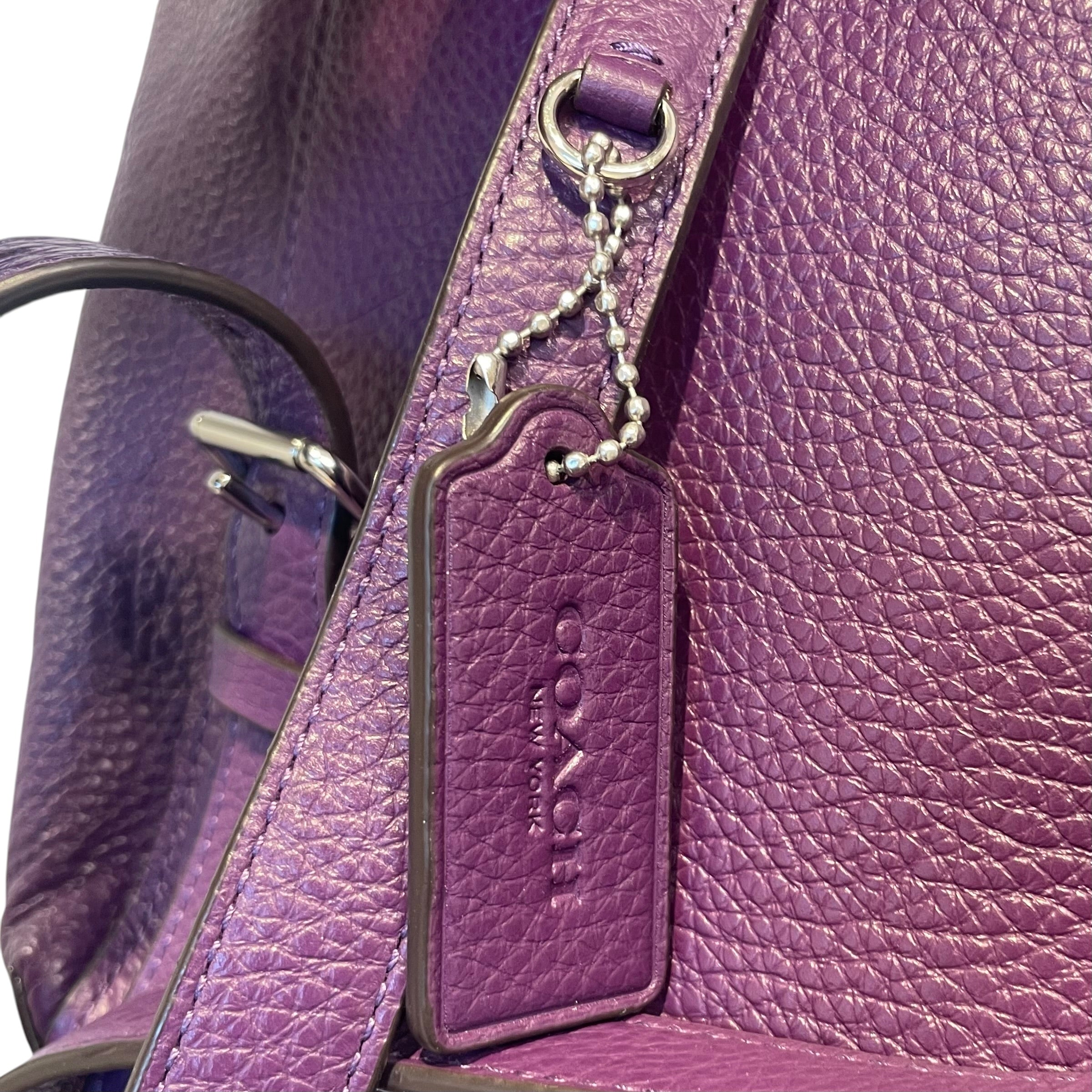 COACH/Backpack/Leather/PPL/ view 5