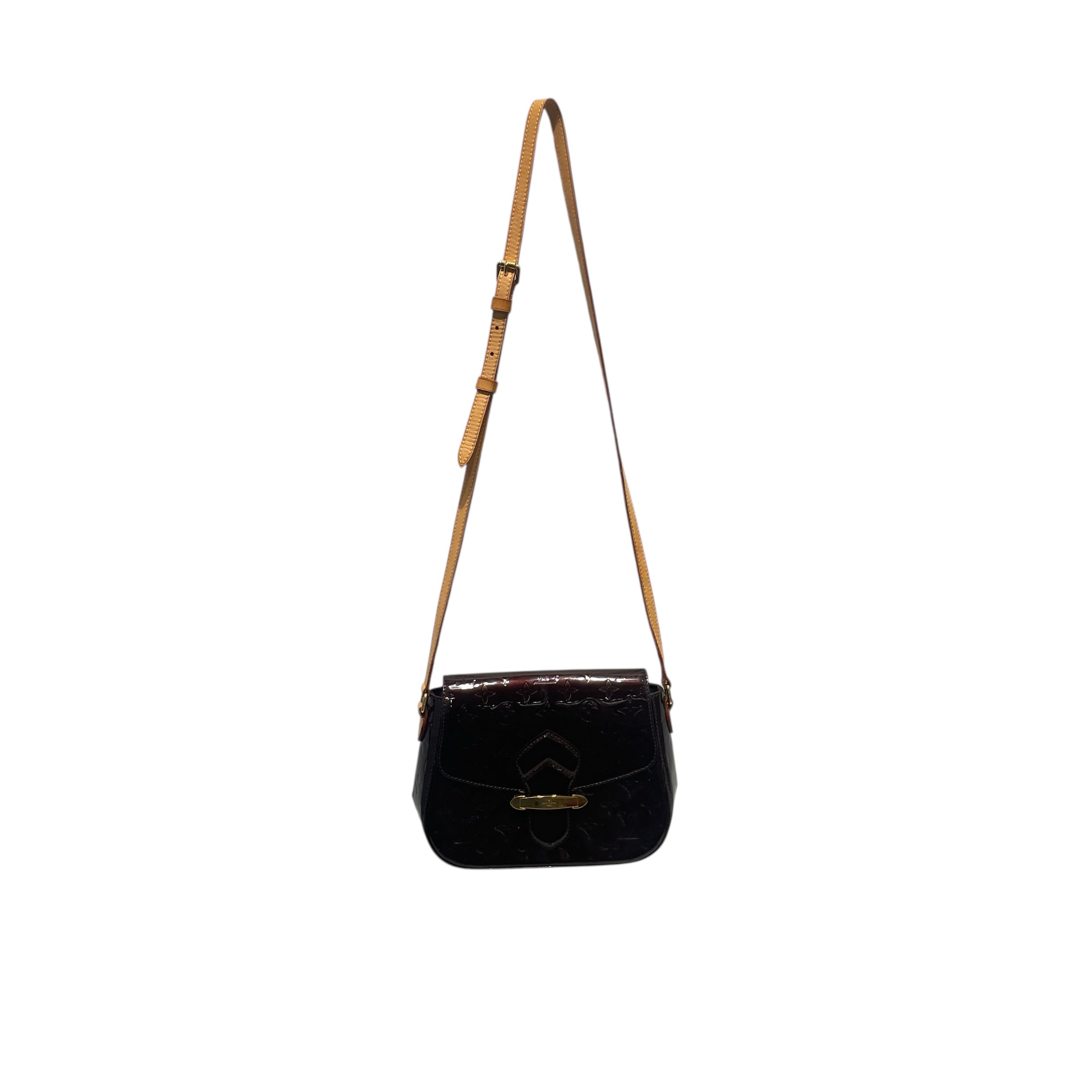 LOUIS VUITTON/Cross Body Bag/Acrylic/PPL/VERNIS view 1