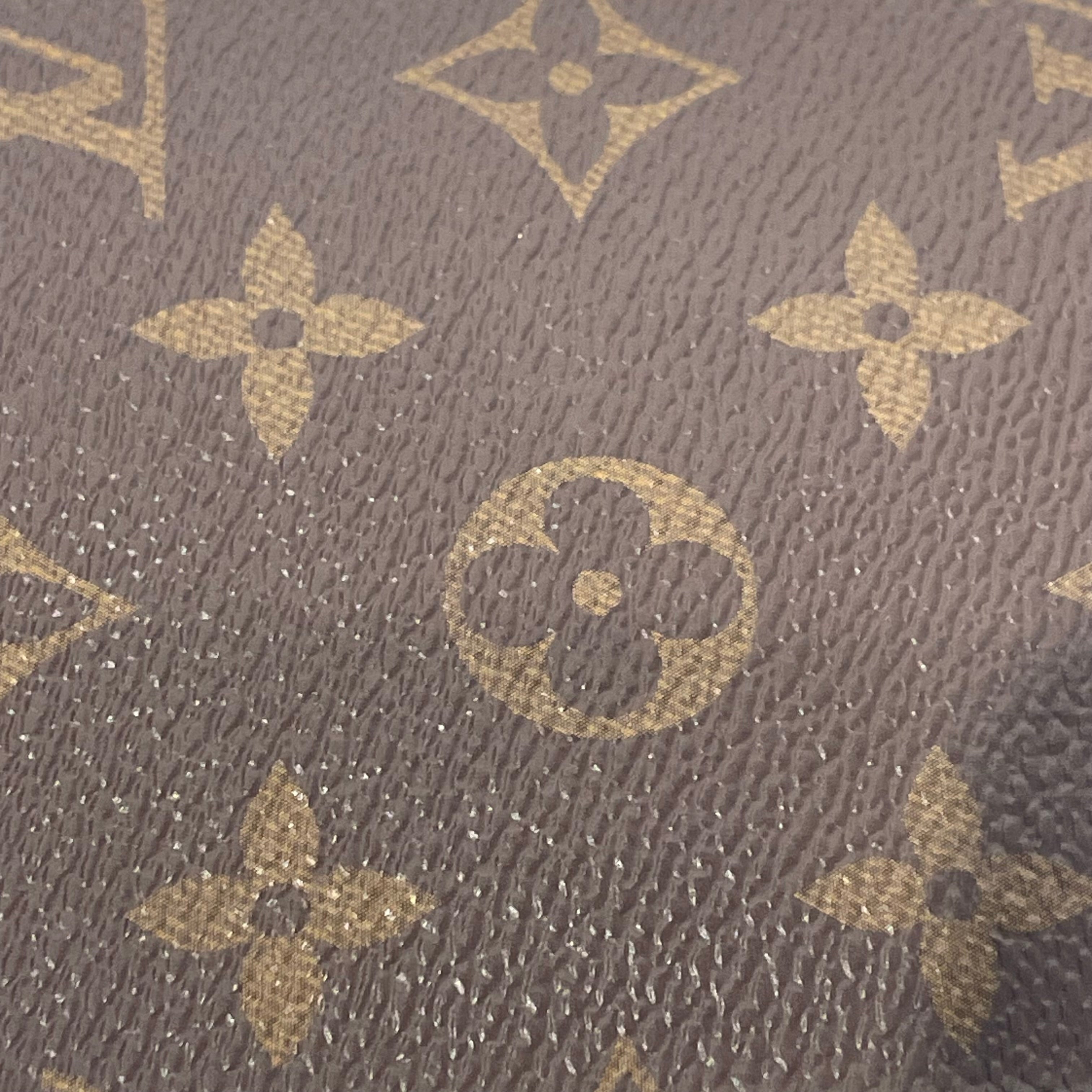 LOUIS VUITTON/Wallet/Monogram/Leather/BRW/L's/ view 5