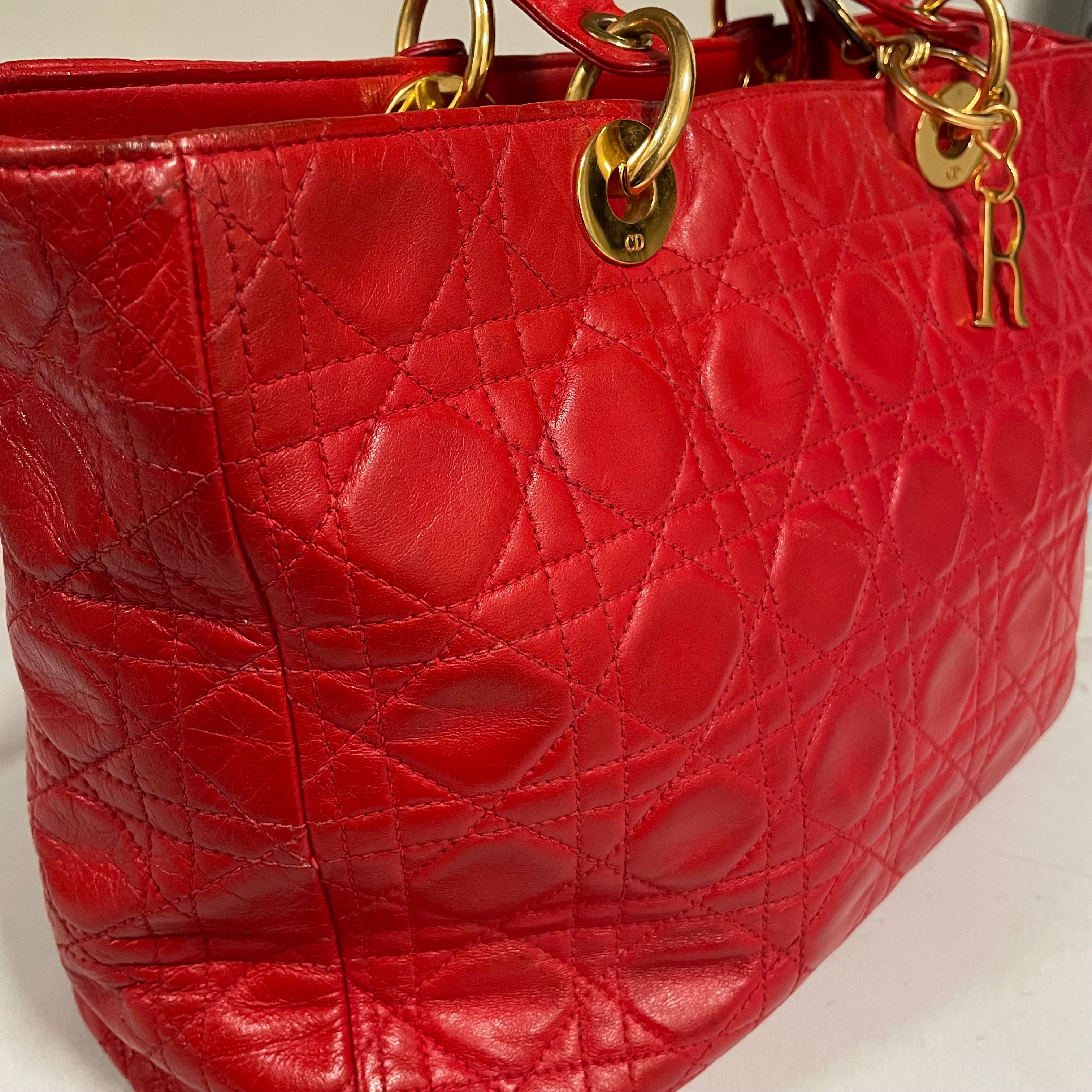 Christian Dior/Hand Bag/Leather/RED/CANNAGE LADY view 6