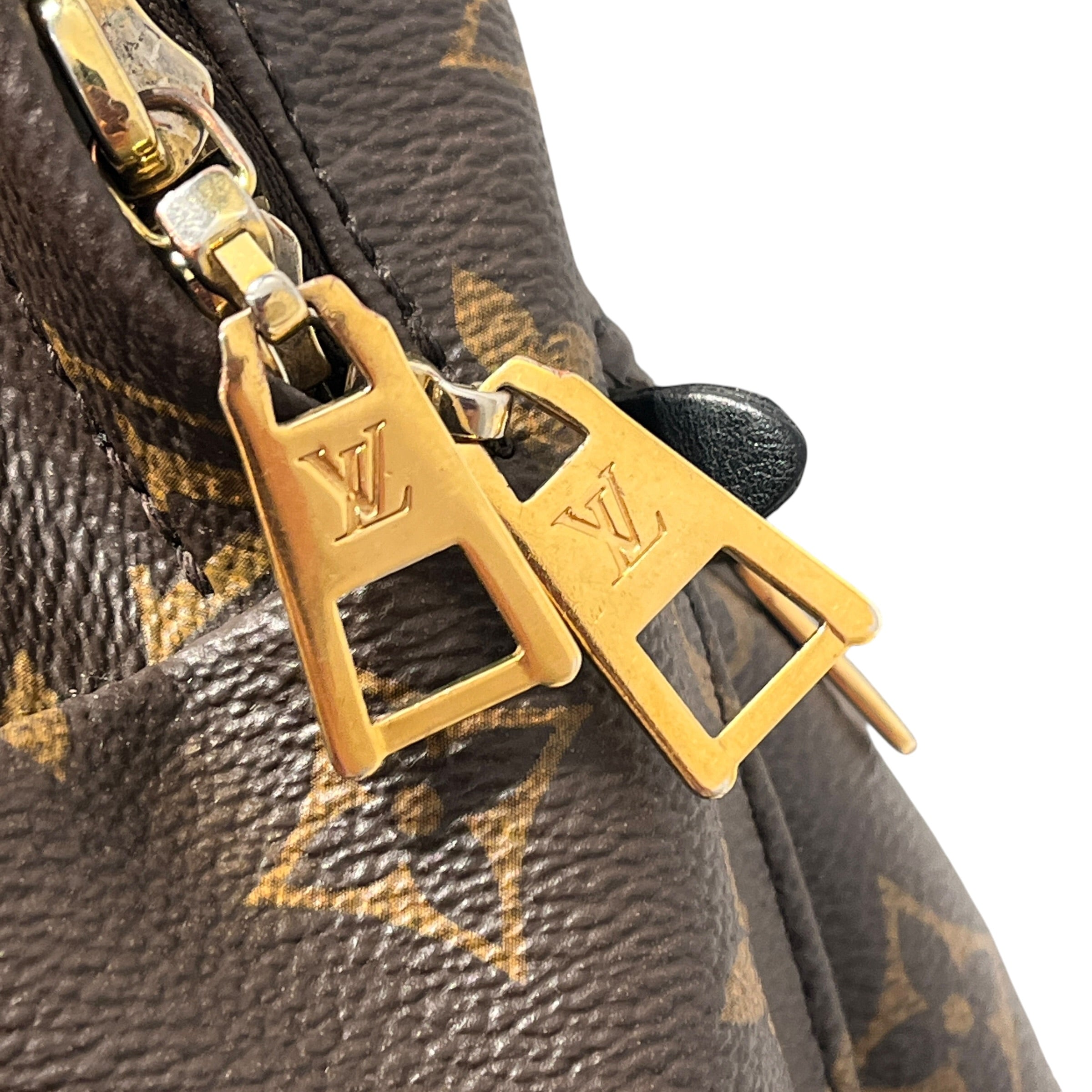 LOUIS VUITTON/Backpack/Monogram/Leather/BRW/palm springs PM backpack view 5
