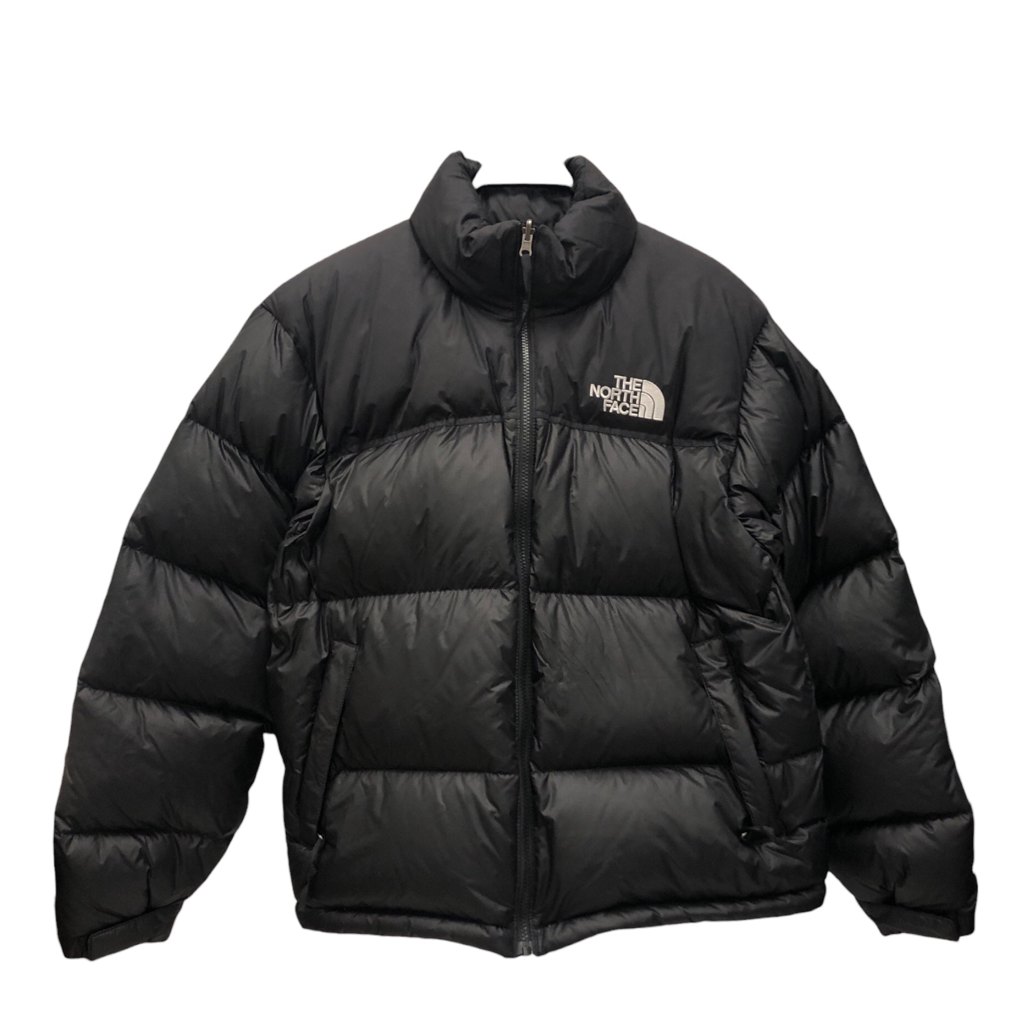 THE NORTH FACE/Puffer Jkt/L/Nylon/BLK/ view 1