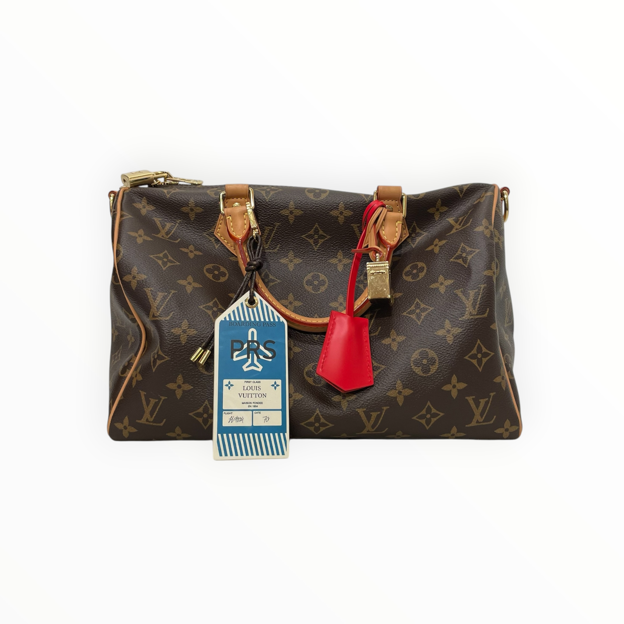 LOUIS VUITTON/Hand Bag/Monogram/Leather/BRW/speedy soft 30 crafty view 1