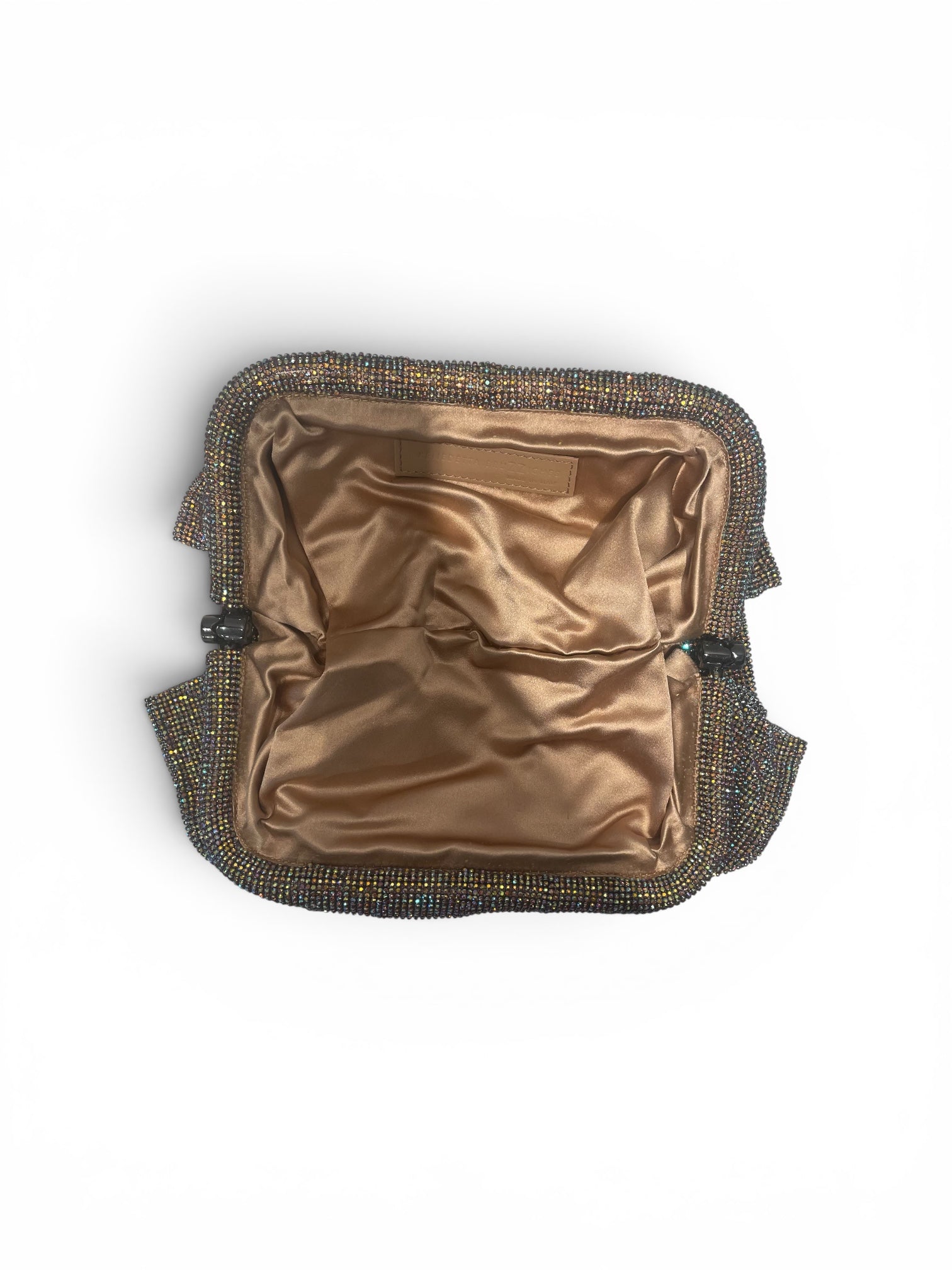 Benedetta Bruzziches/Clutch Bag/Iridescent/MLT/Venus view 4