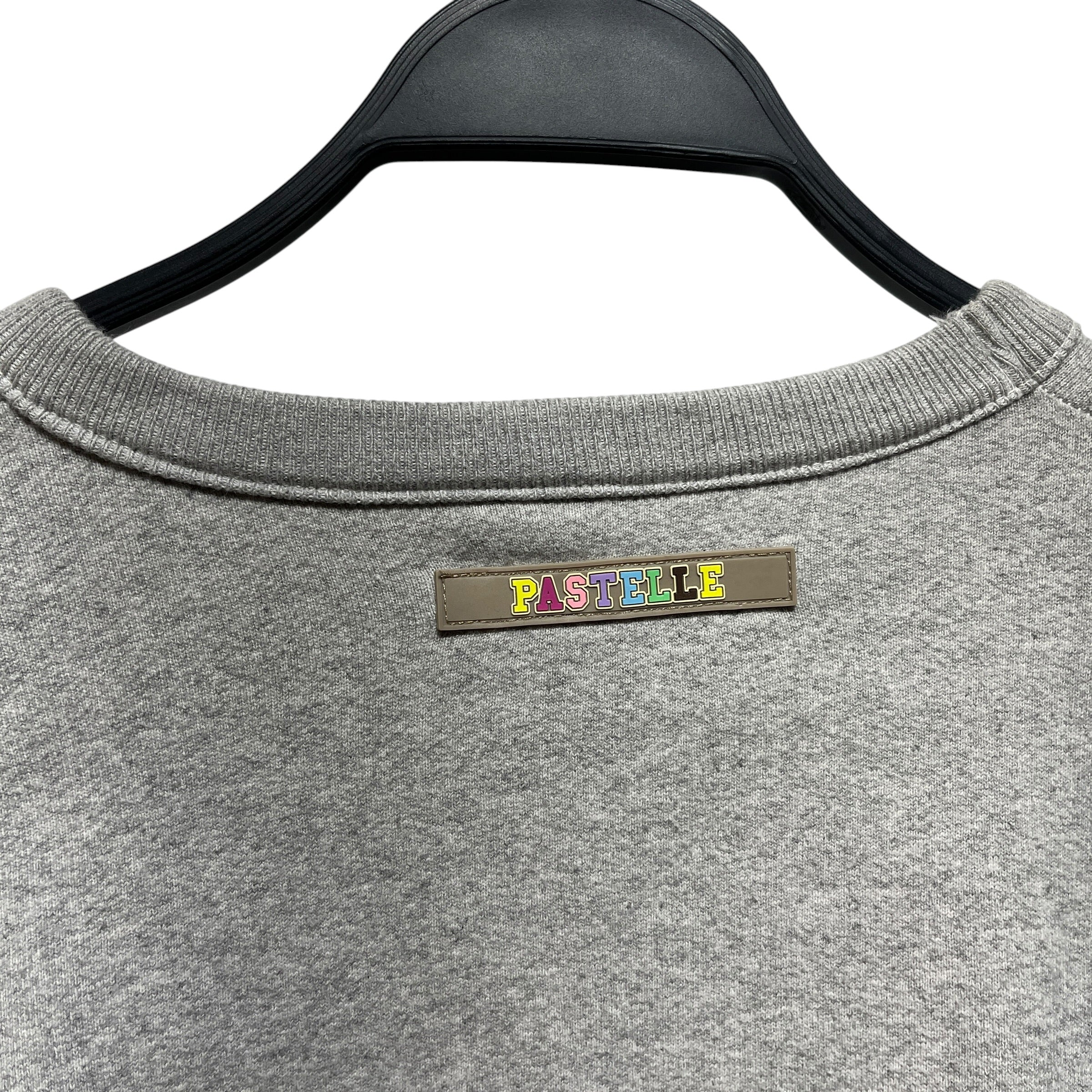Pastelle/Sweater/L/Cotton/GRY/Premium Pastelle Cropped Crew view 3