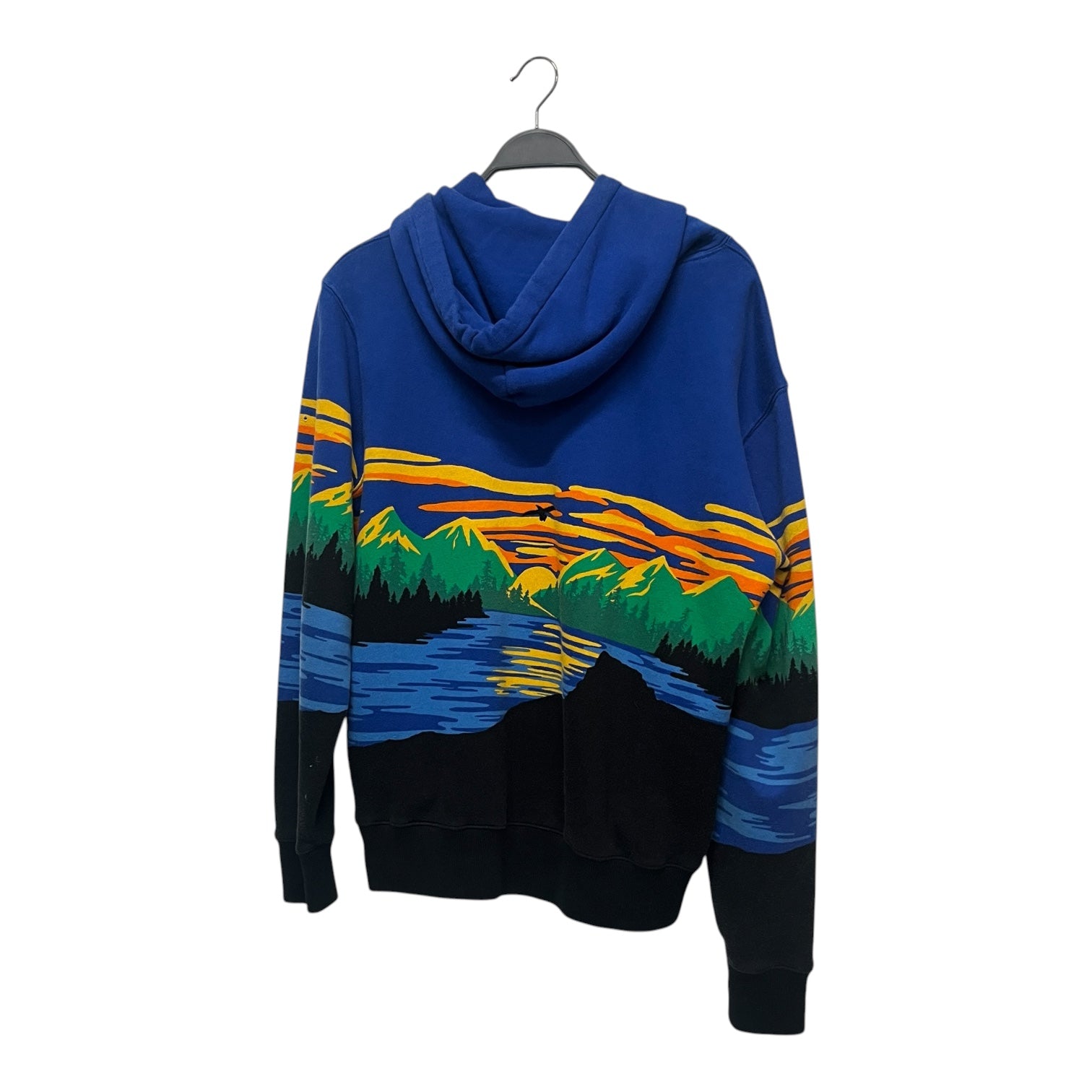 POLO RALPH LAUREN/Hoodie/M/Cotton/BLU/SCENIC SPORTSMAN HOODIE view 2